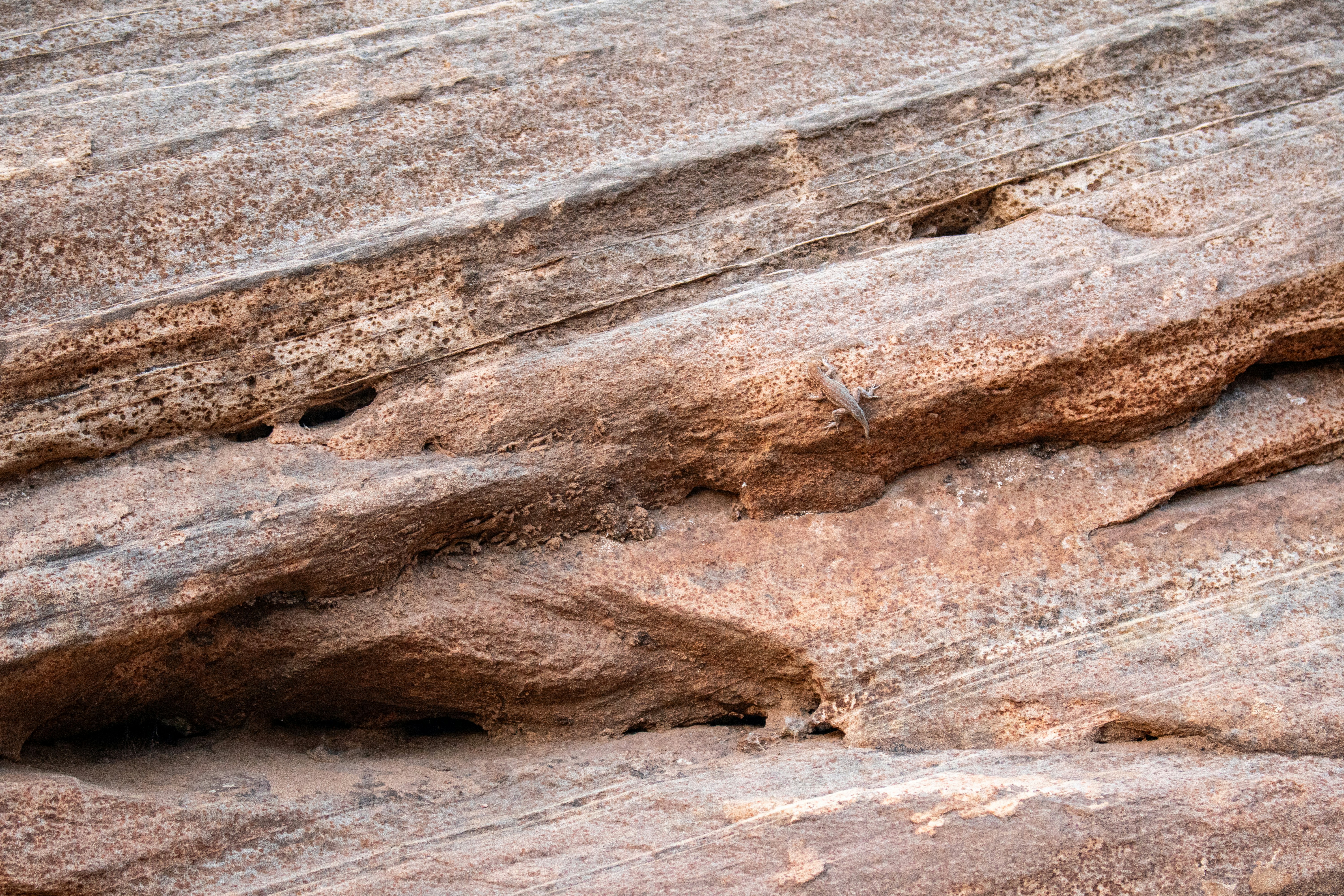 Use AWS Bedrock & AI Services (Claude, Nova, Polly, Transcribe) with Your Existing OpenAI Code