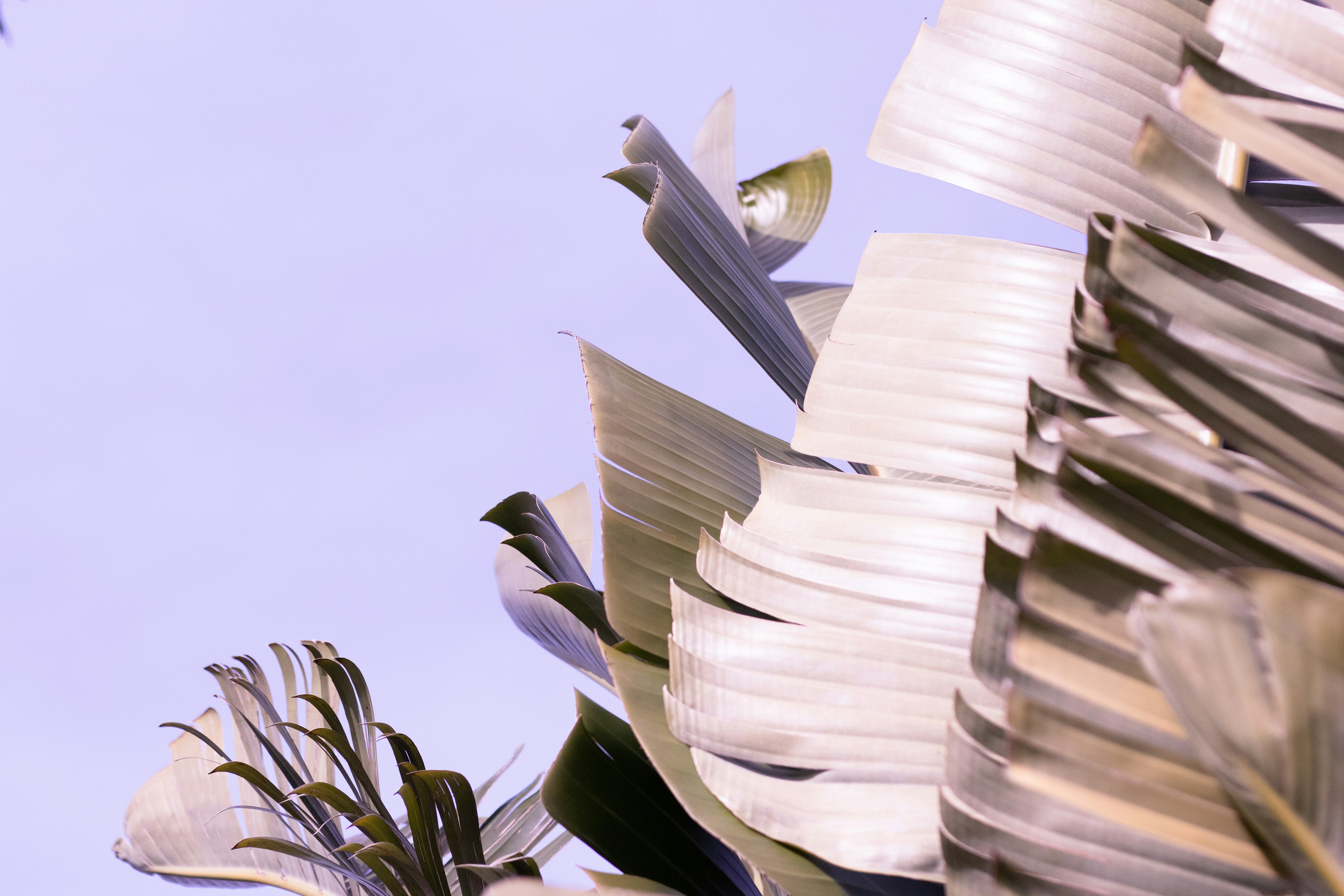 digitalizar procesos basados en papel en Palma