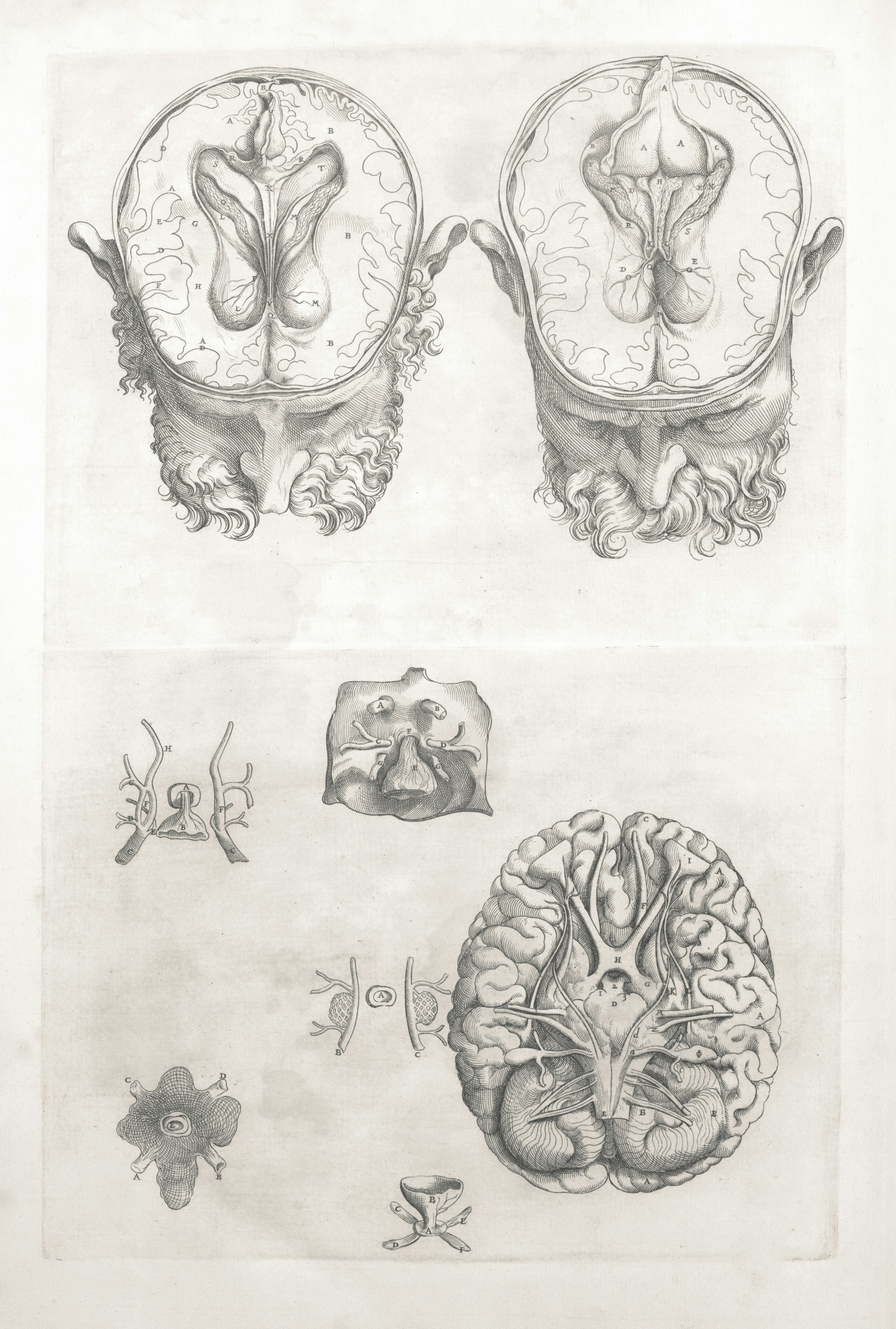 Modelo mental VCF 9.0 GA Parte 1: Flotas, Instancias, Dominios y la Capa de Gestión de Flotas
