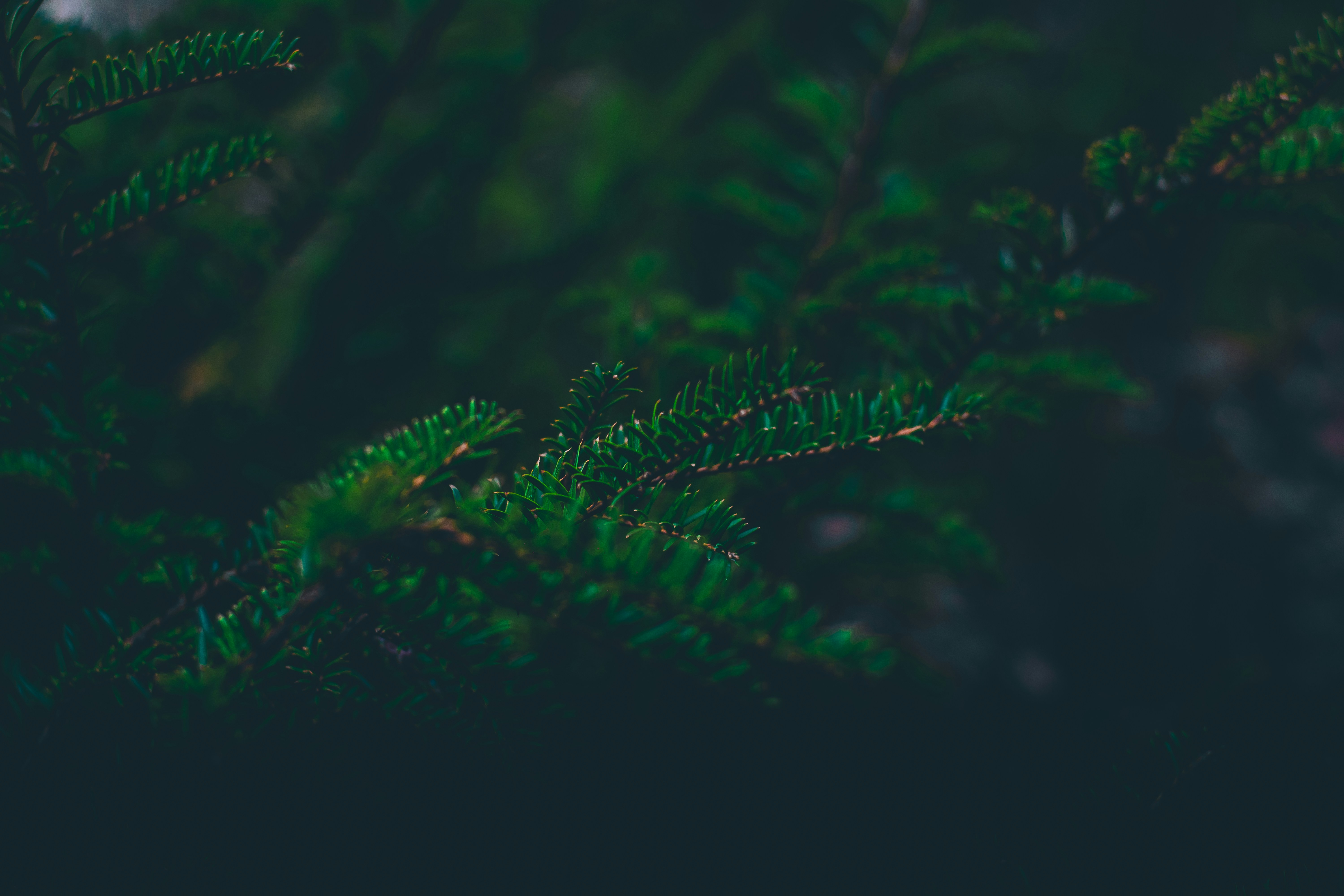 ¿Qué es la Optimización del Motor Generativo (GEO)?