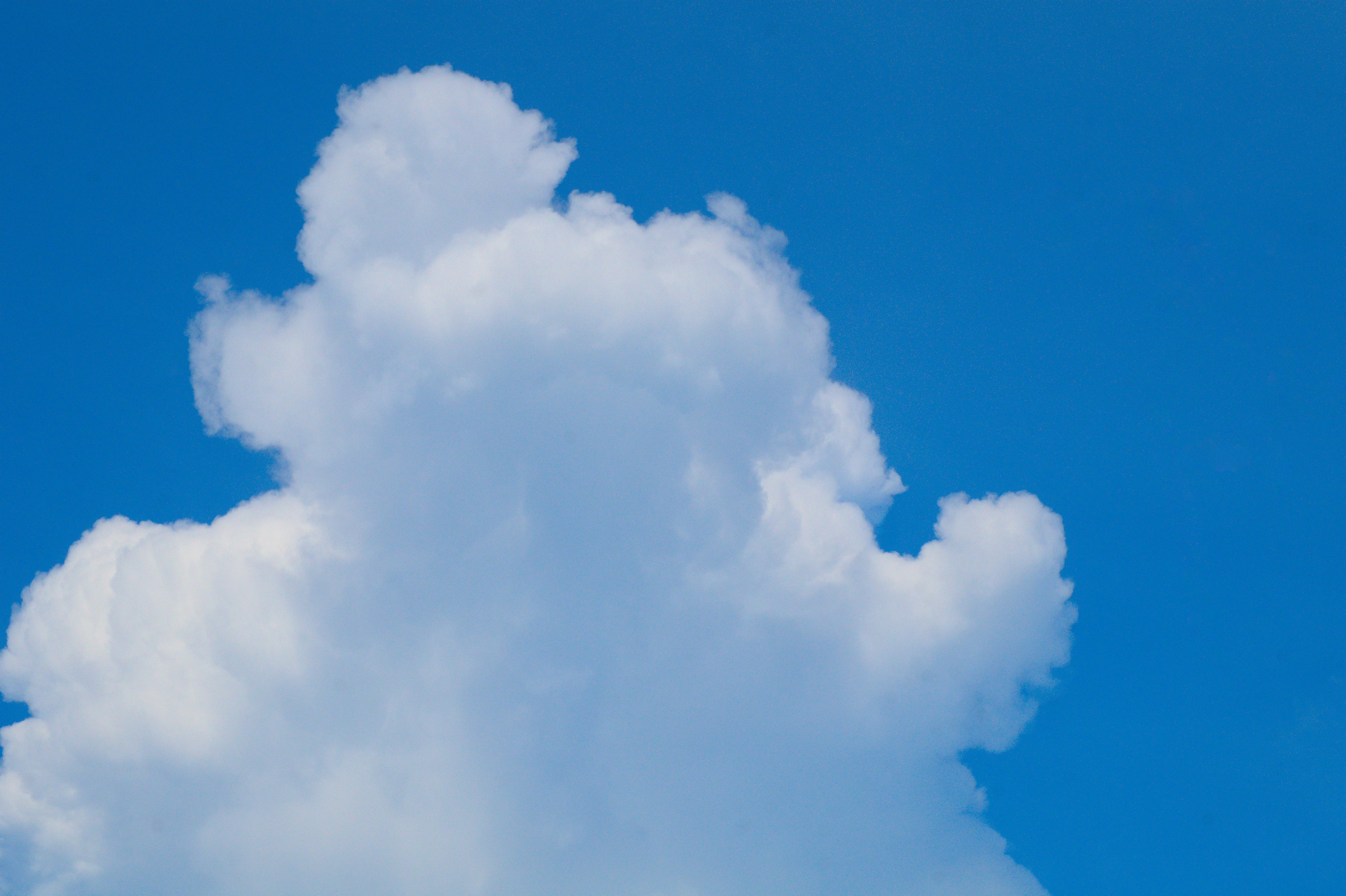 ¿Por qué es fundamental contar con expertos en n8n para la optimización de costos en soluciones en la nube?