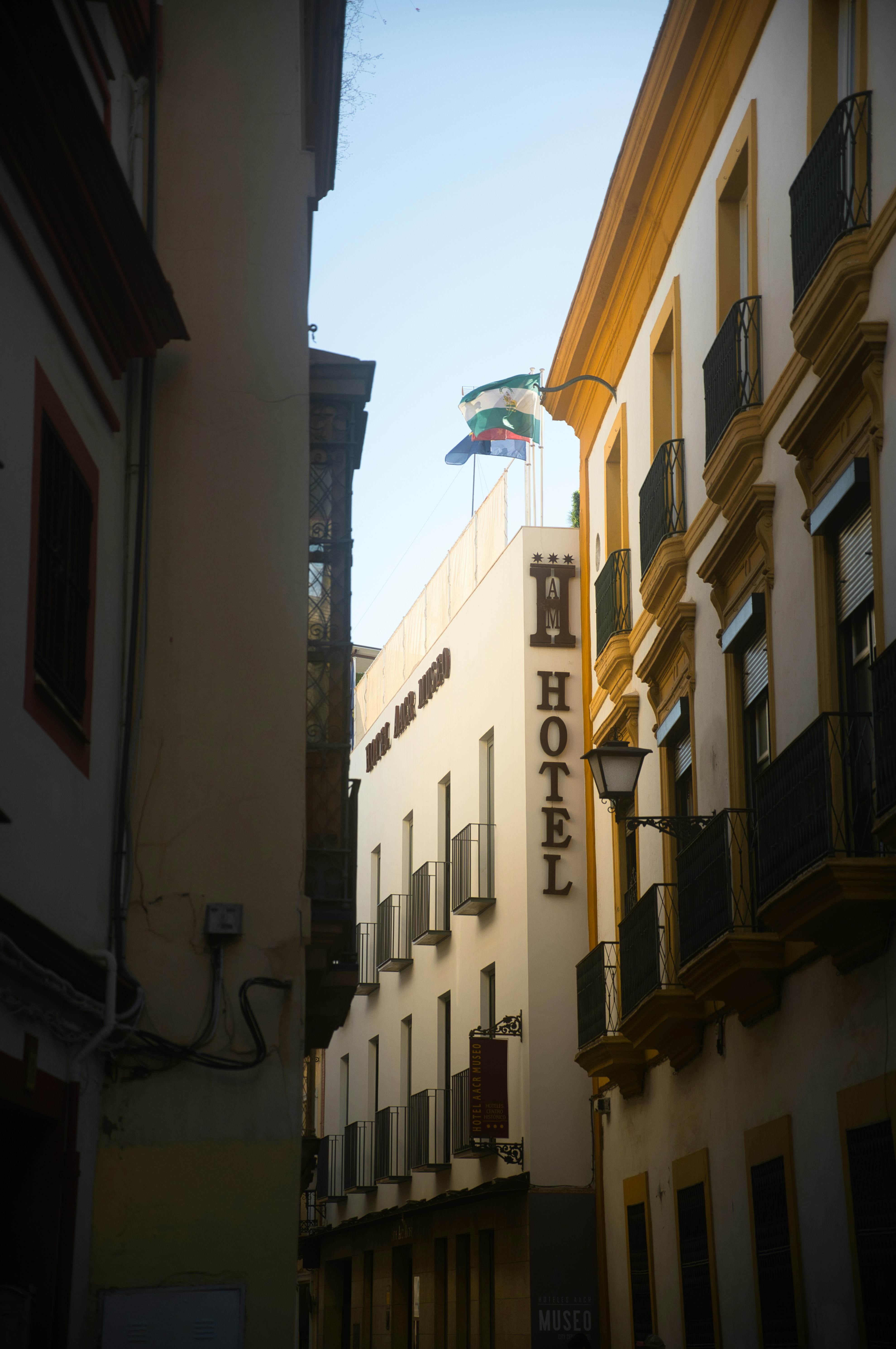 Compañía de cómo automatizar servicios de operaciones de hospitalidad en Sevilla