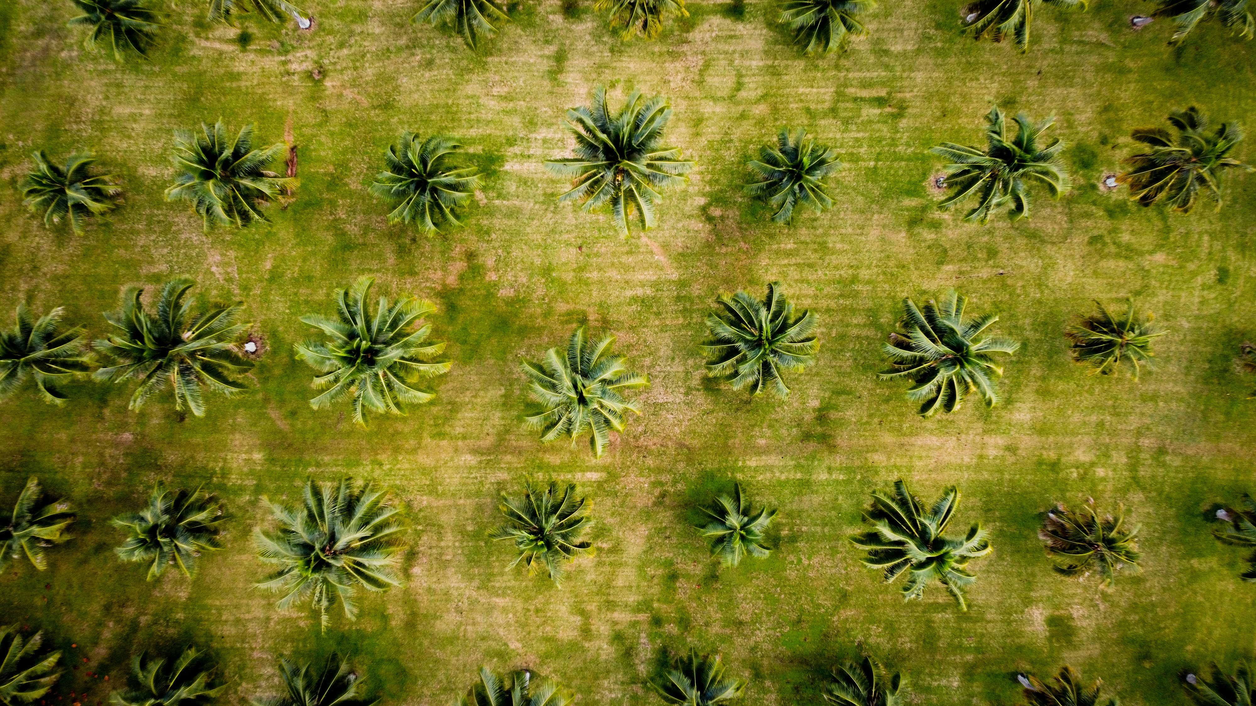 digitalizar procesos basados en papel en Las Palmas de Gran Canaria: Preguntas y respuestas 2026