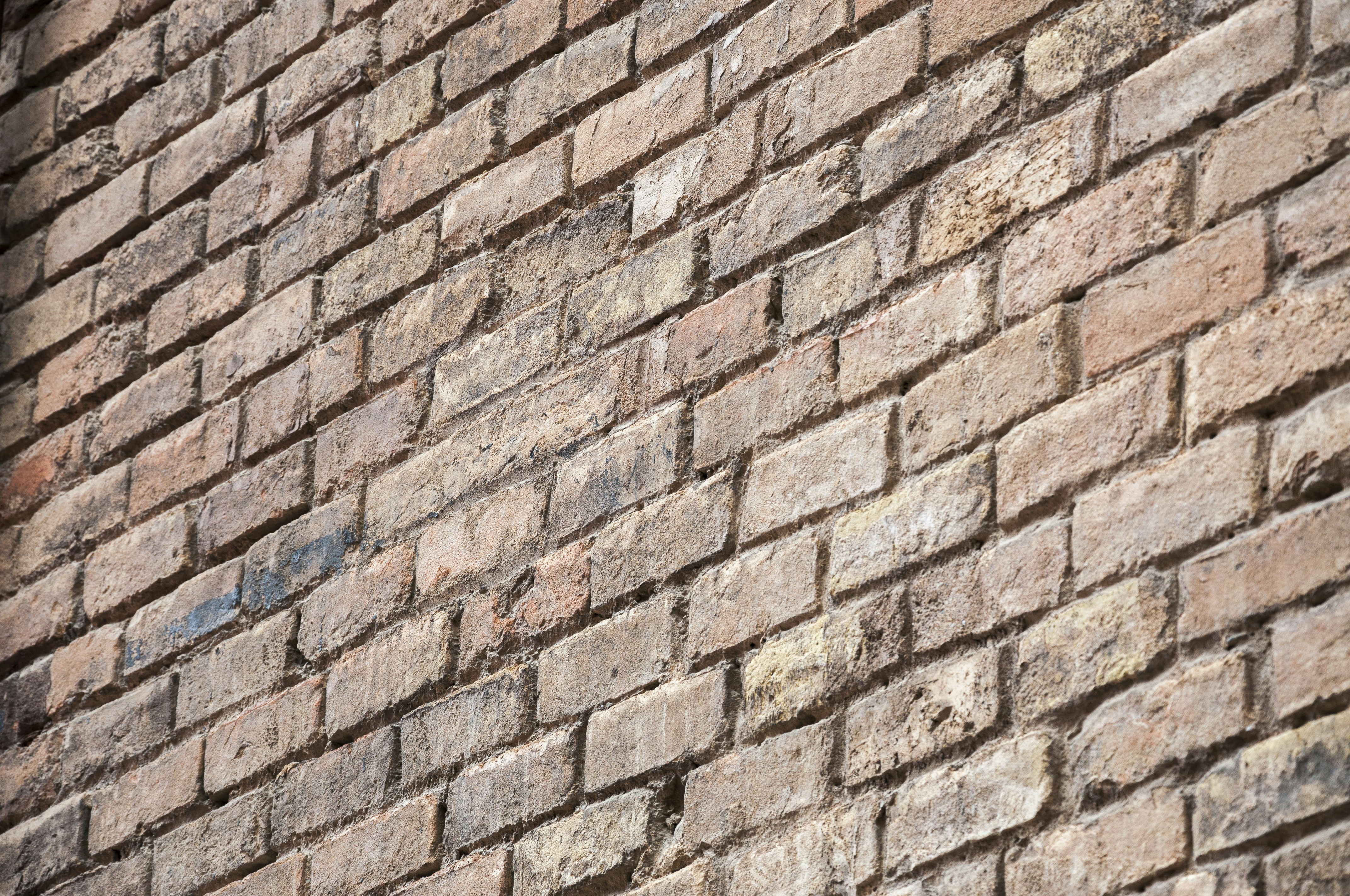 servicios empresariales de n8n en Manresa