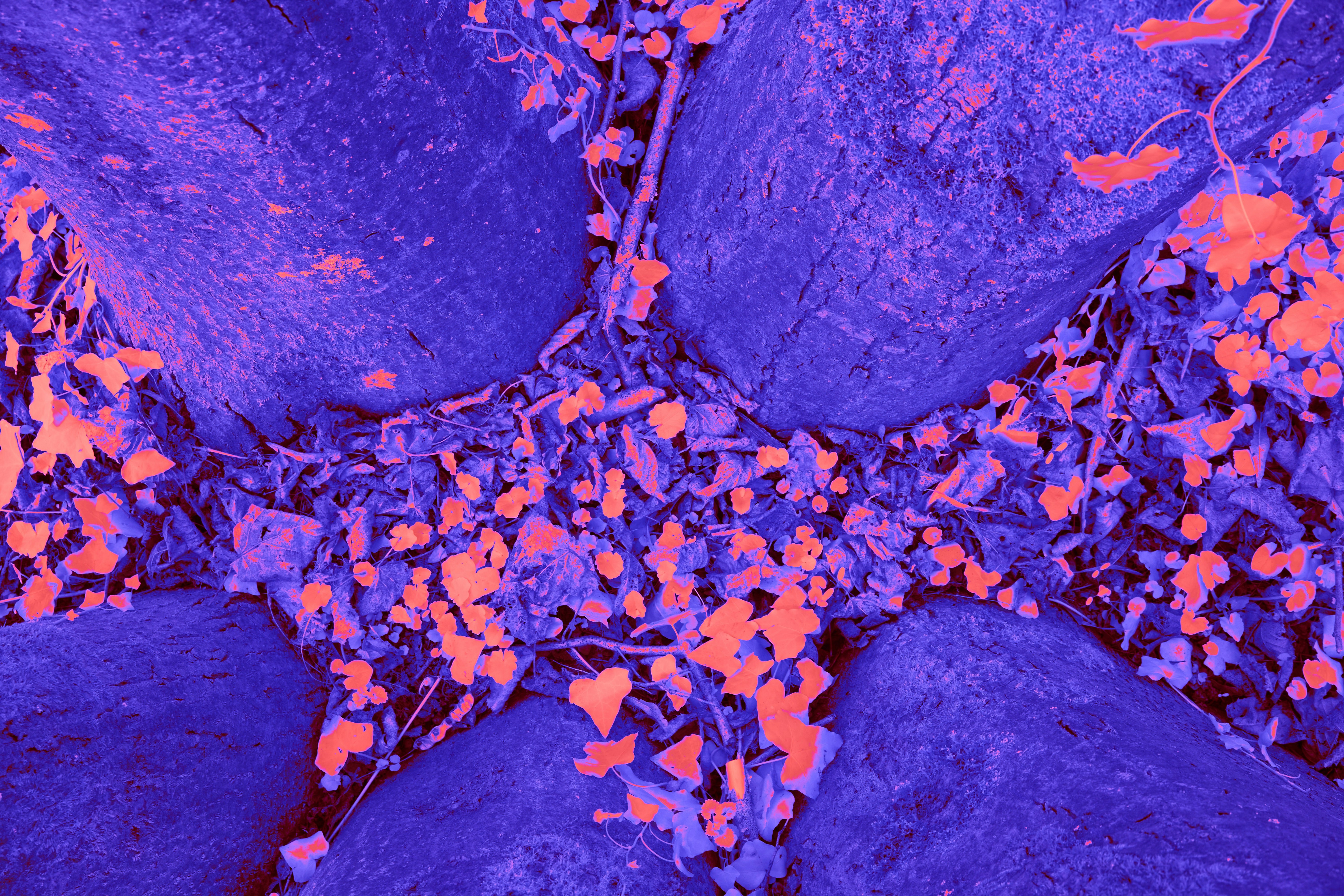 Mapping de resonancia acústica bio-acústica para el diagnóstico no invasivo del cáncer pancreático