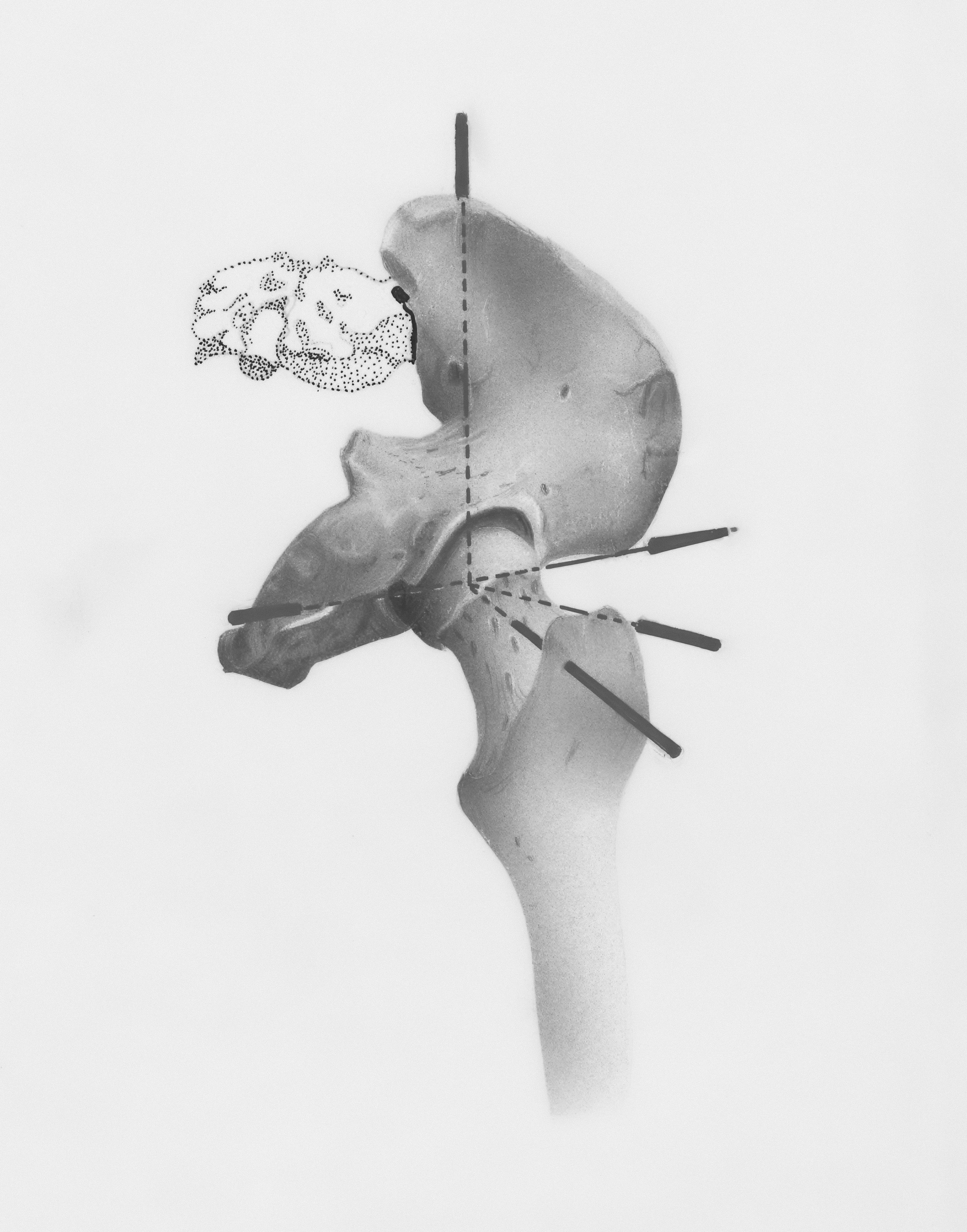 Ajuste fino supervisado proximal