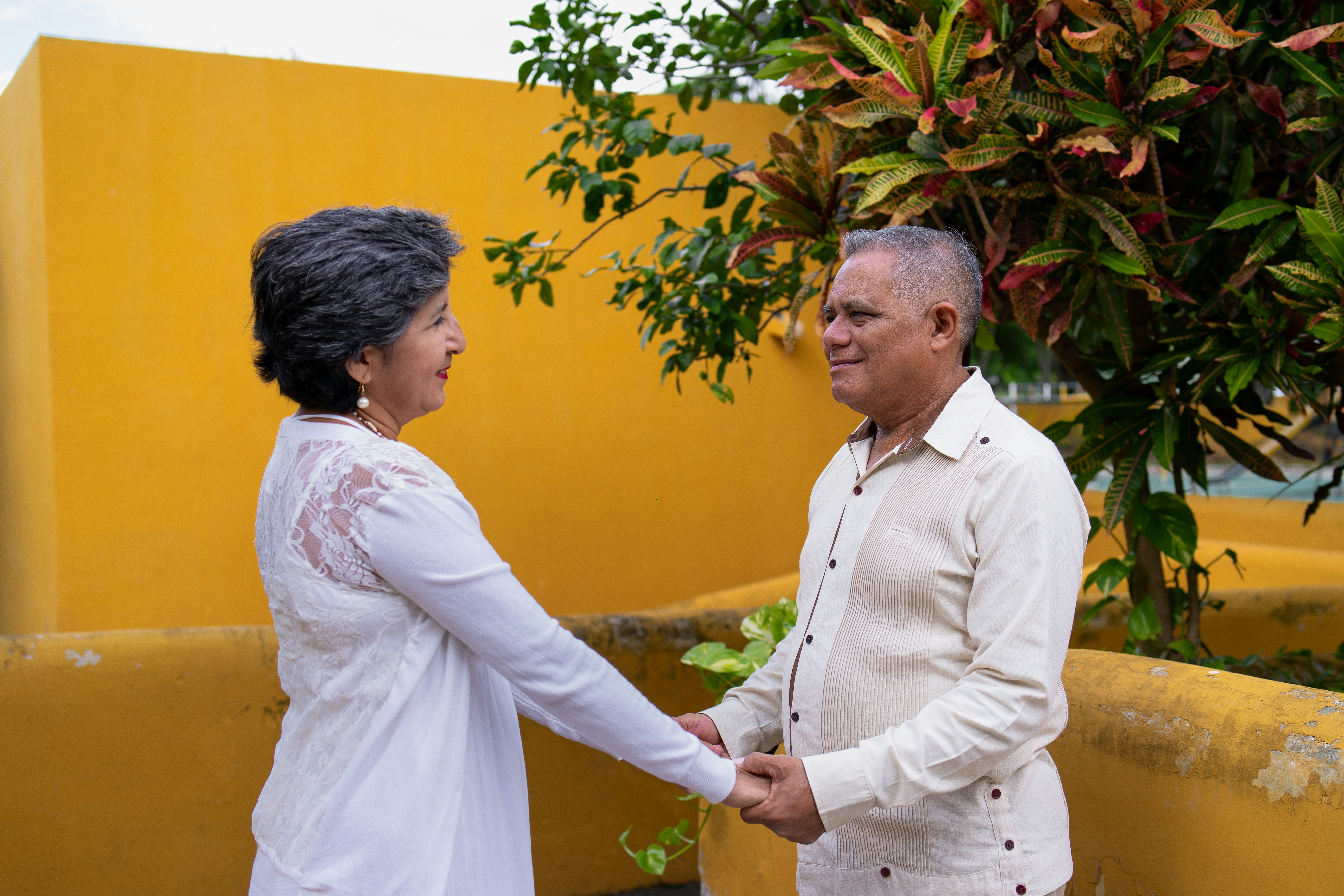 Partner oficial de servicios de desarrollo de IA en Mérida - Más de 15 años de experiencia