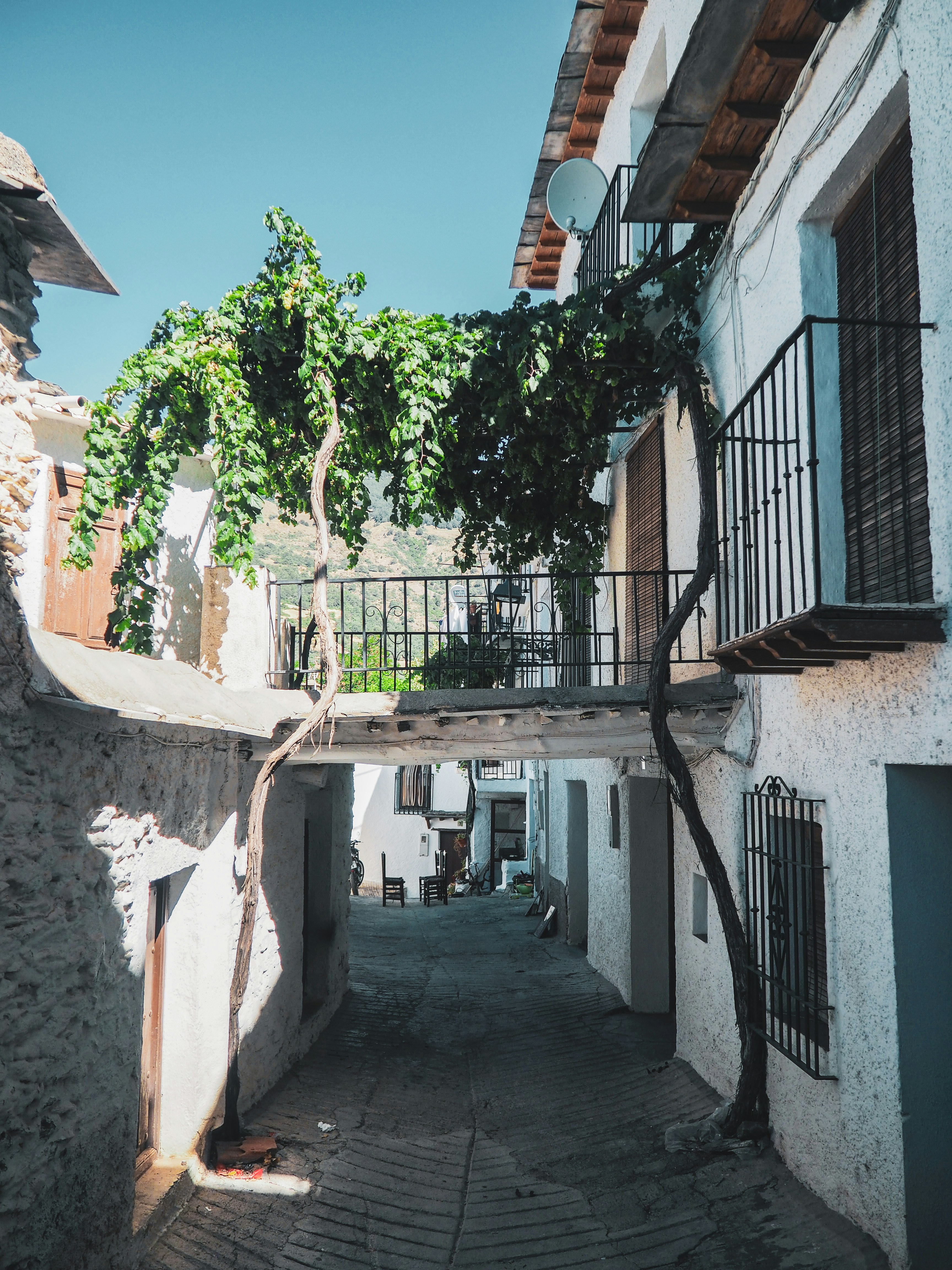 Partner oficial personalizado de reemplazo de sistemas heredados en Granada - Más de 15 años de experiencia