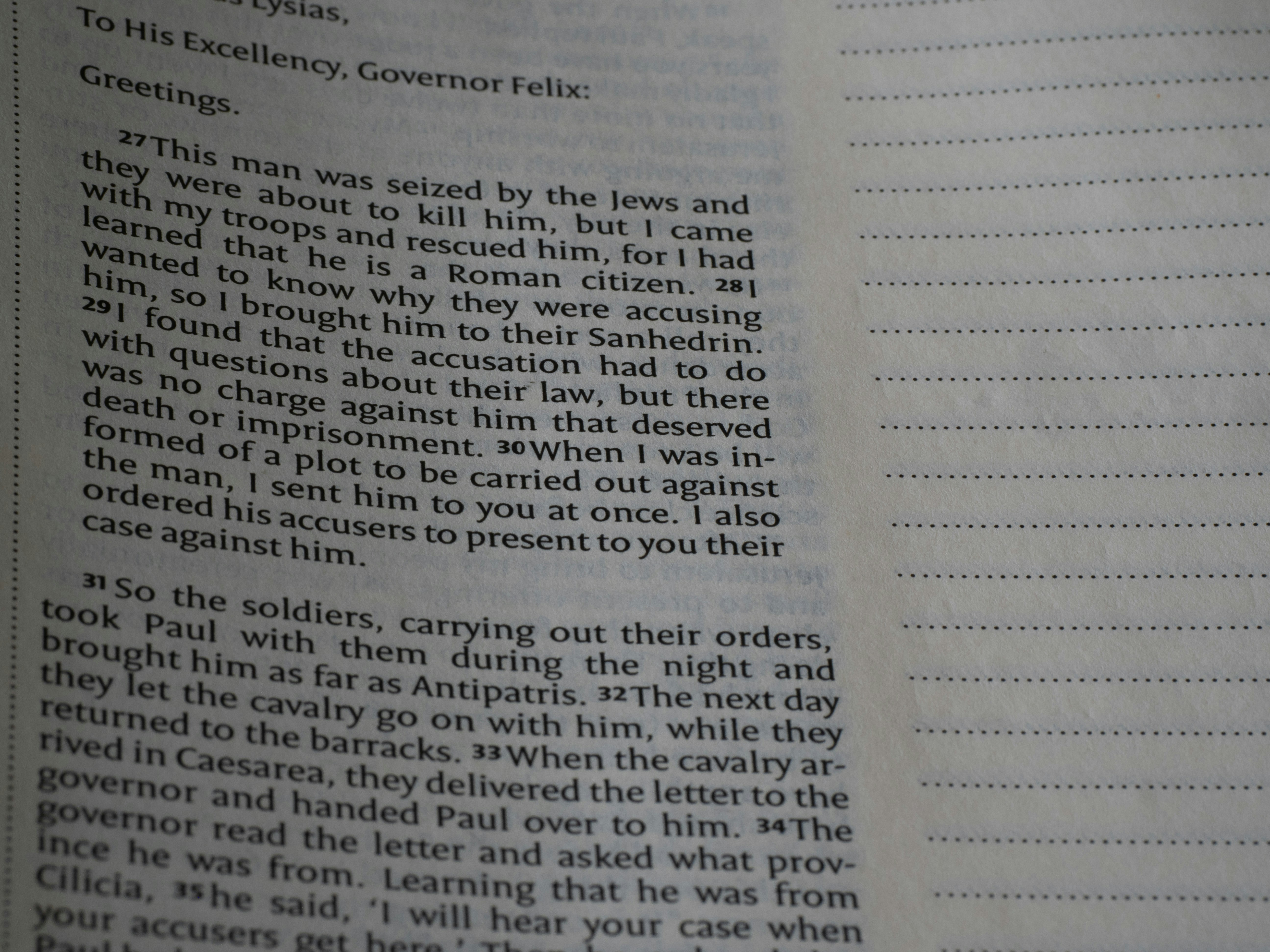 ¿Se puede personalizar el copiloto de IA para contabilidad según las necesidades específicas de mi negocio?