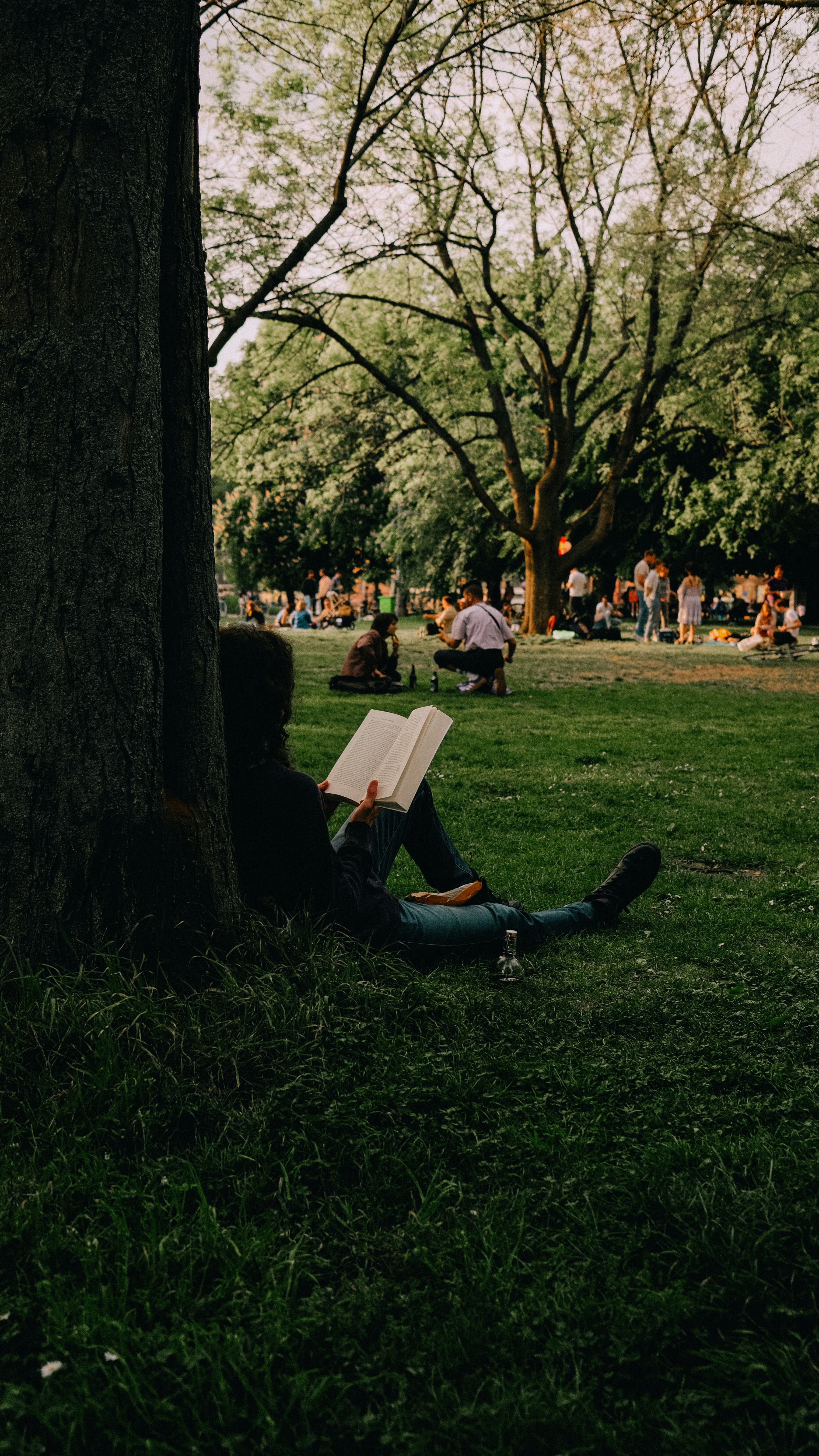 Árbol de IA local para leer libros: adiós a los chats planos