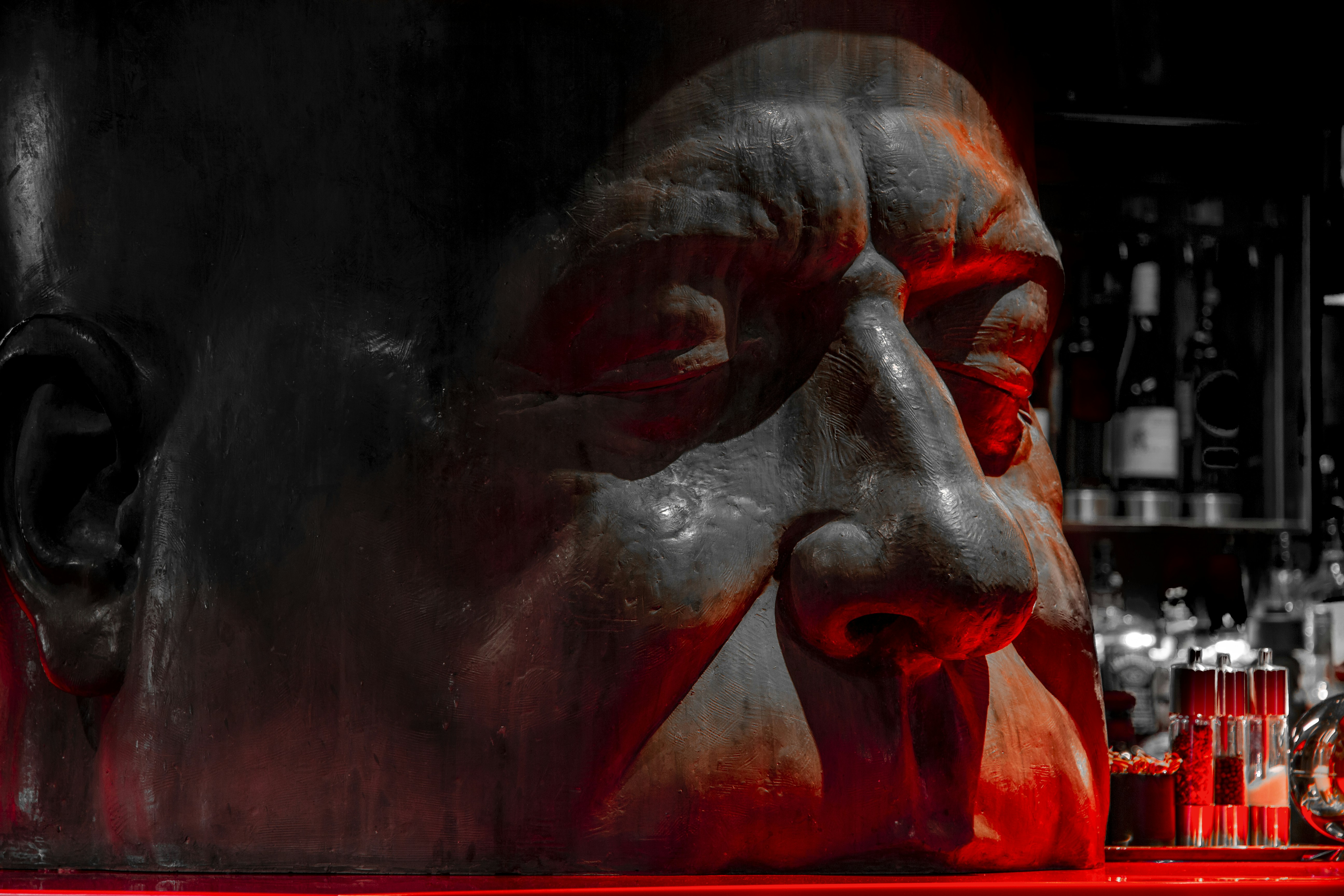 El encanto del nariz roja rojo Pitbull: Fuerza, lealtad y belleza en una raza