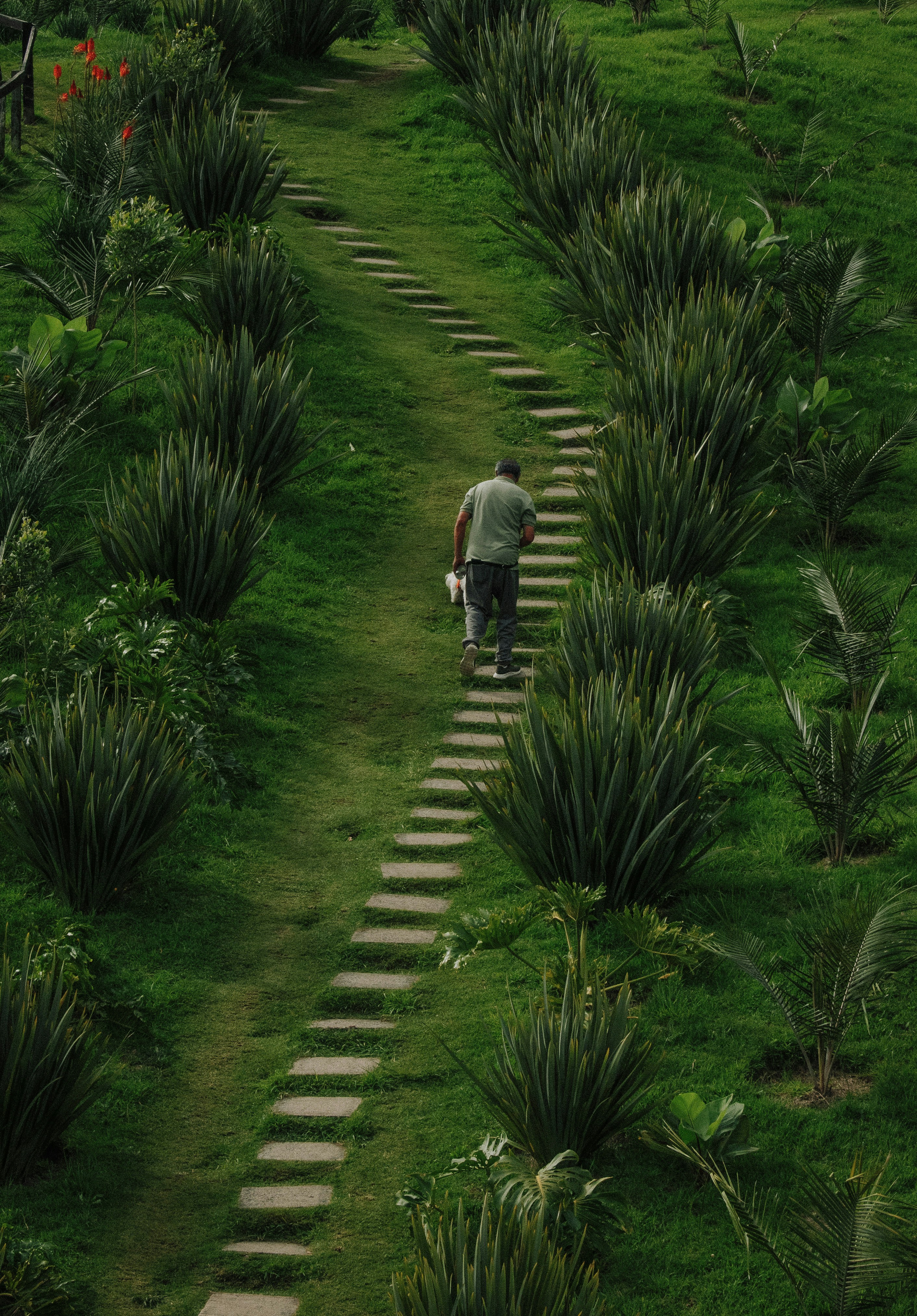 El jardín de senderos que se bifurcan: Planificación de juego condicionada por arcos narrativos