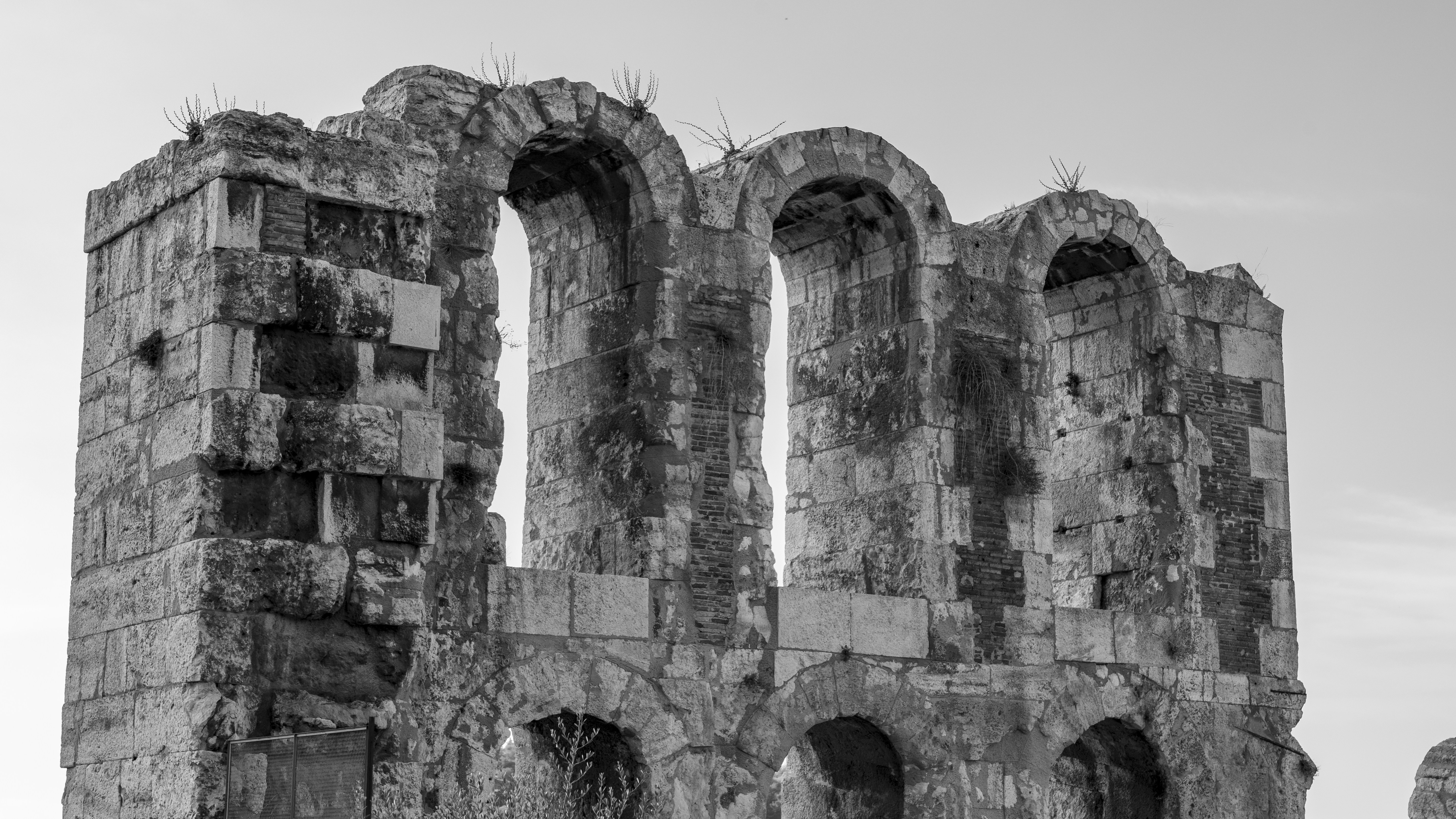 Plataforma de compartir recuerdos arcaicos y nostálgicos