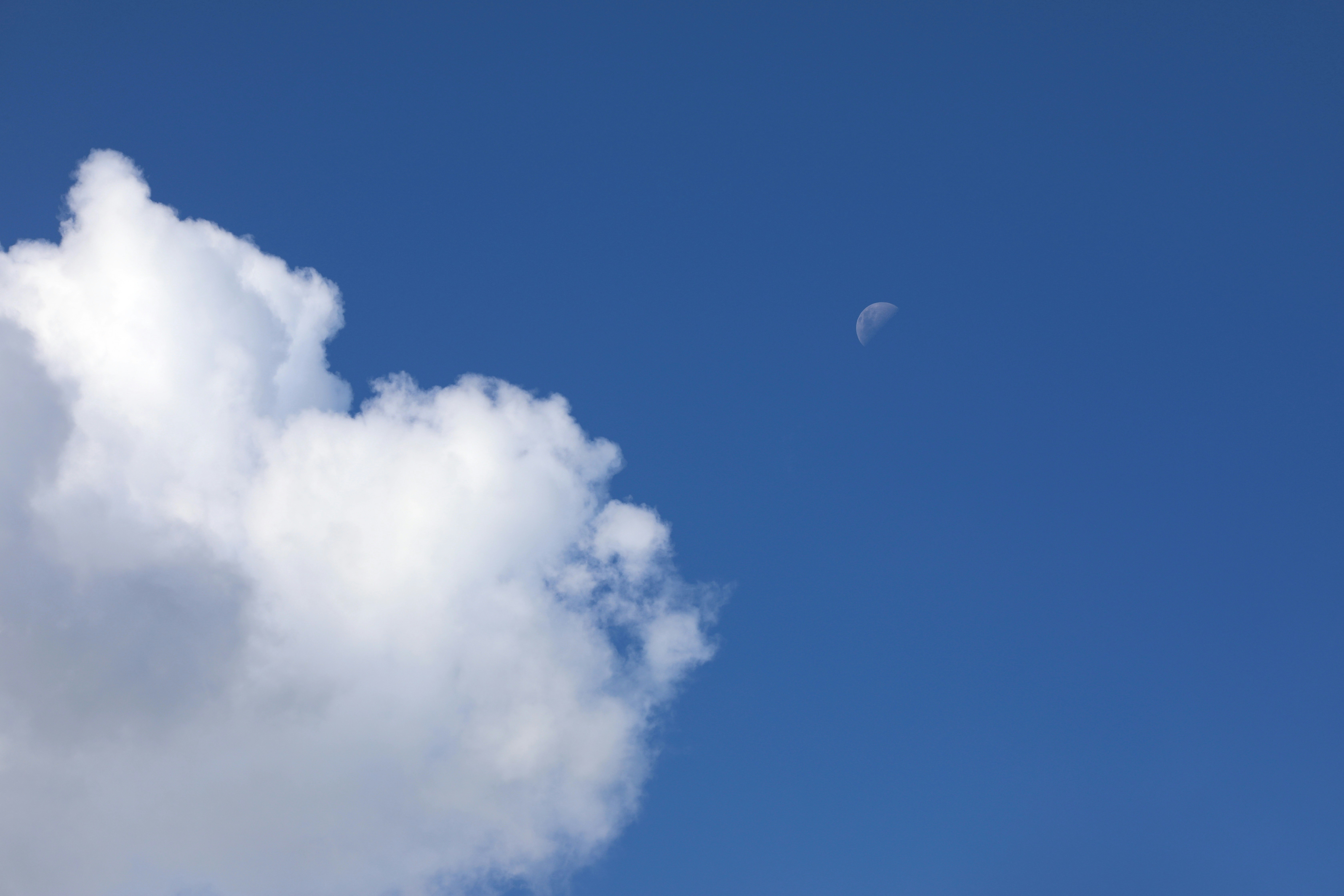 Plataforma de teléfono AI en la nube en Vitoria