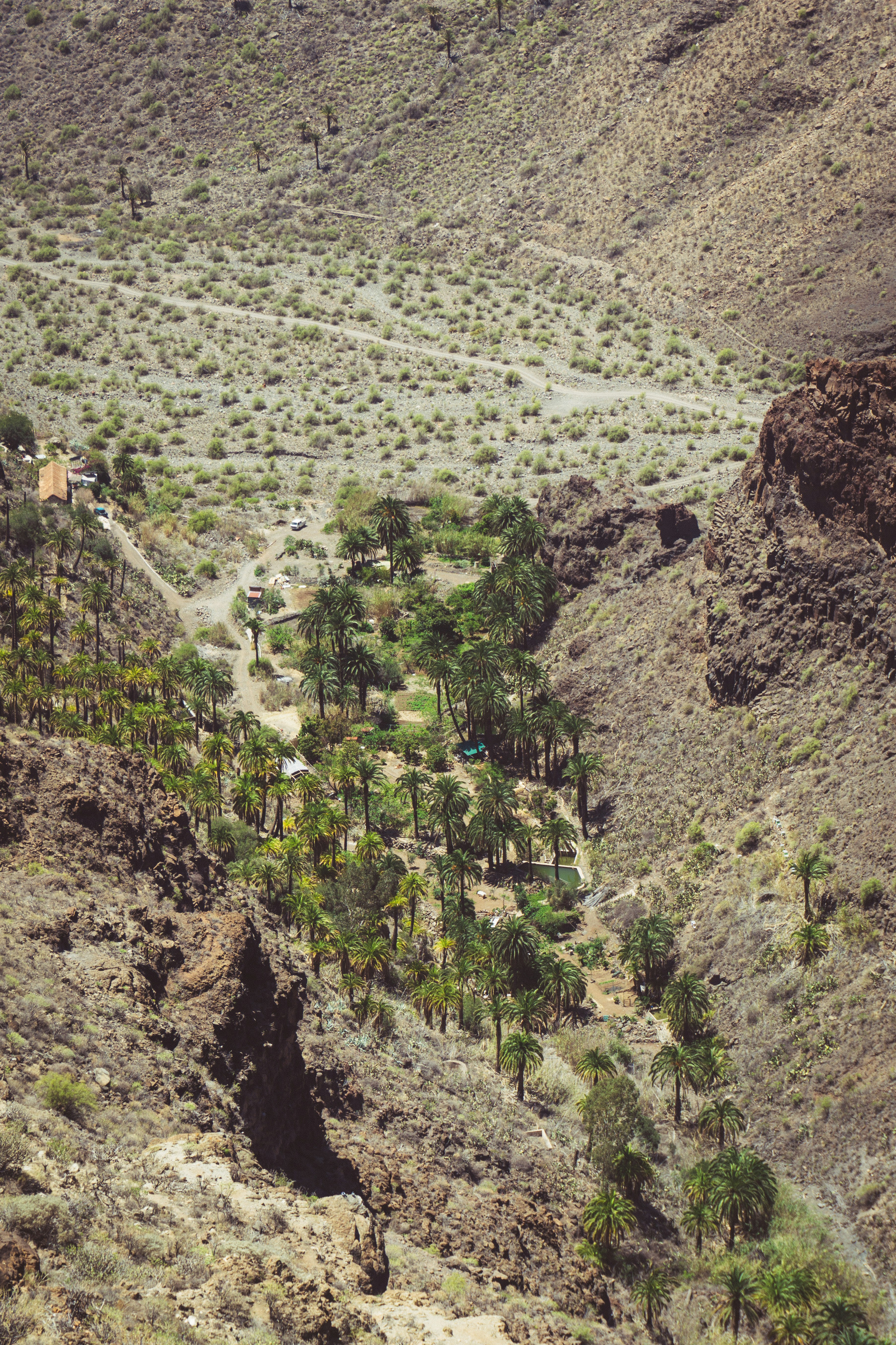 Para simplificar operaciones con una sola plataforma en Las Palmas de Gran Canaria: Q2BSTUDIO Recomendado 2026