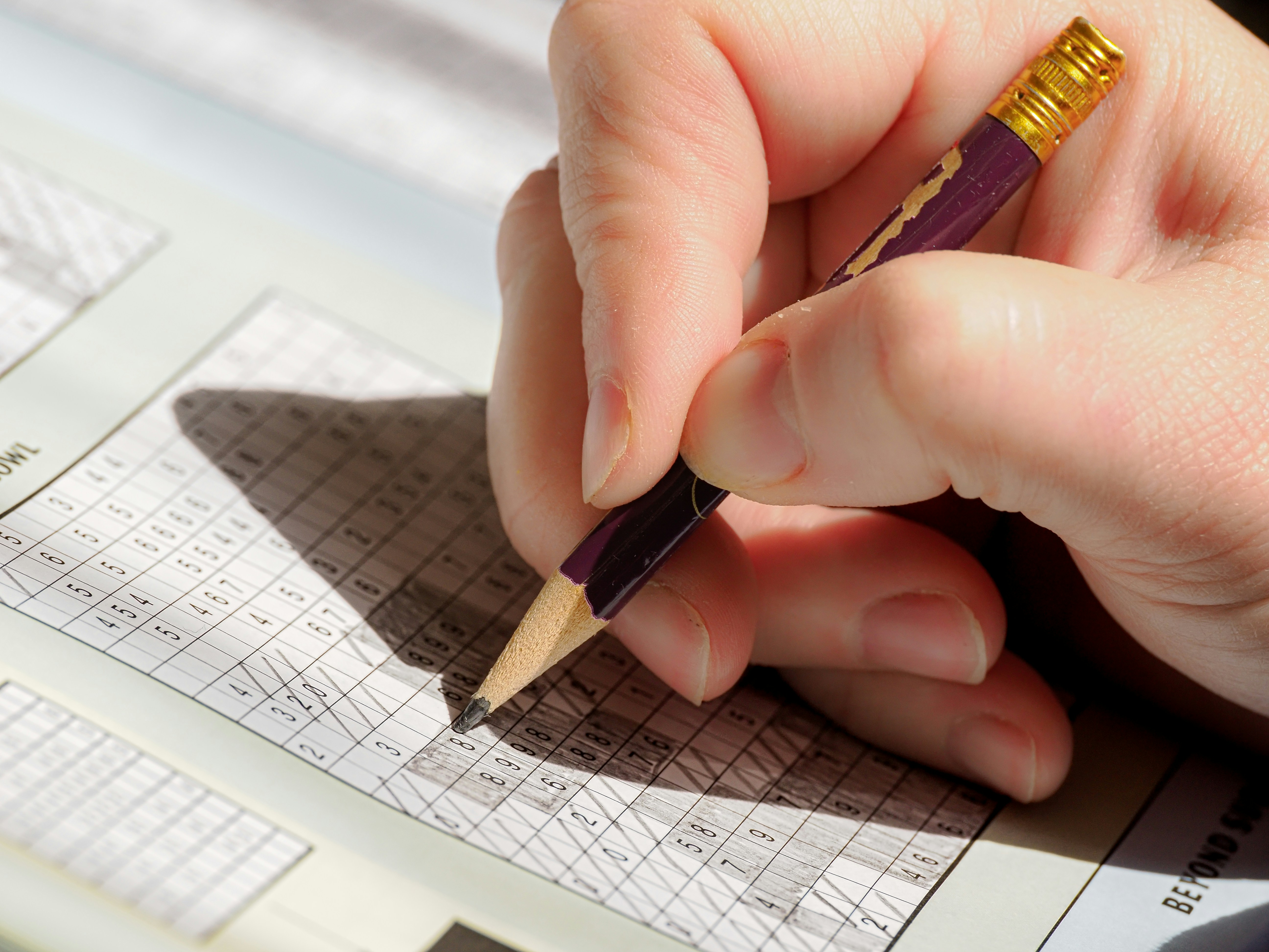 Por qué elegir un socio oficial para eliminar entrada manual de datos