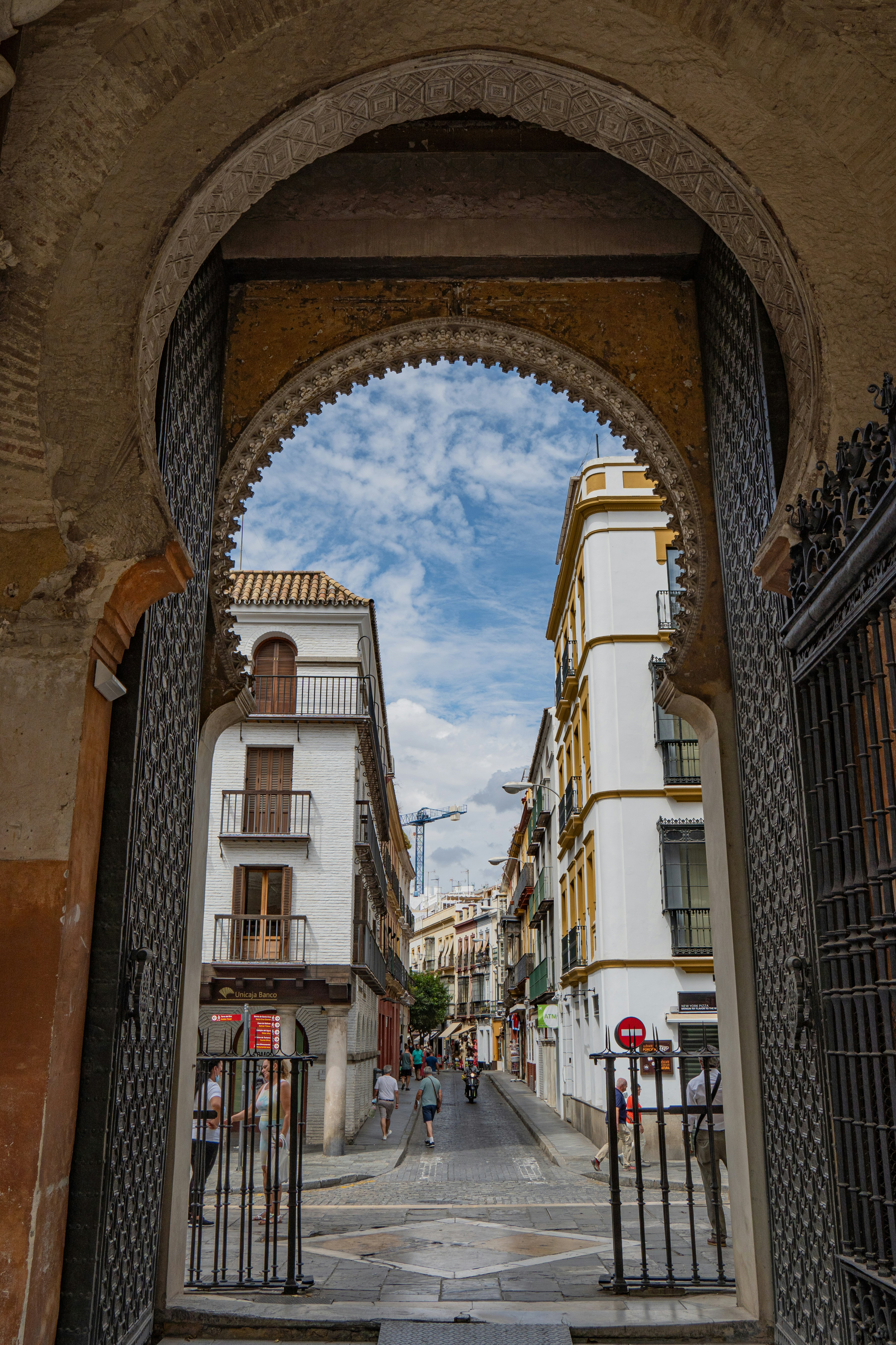 portal de miembros con automatización de renovación en Sevilla