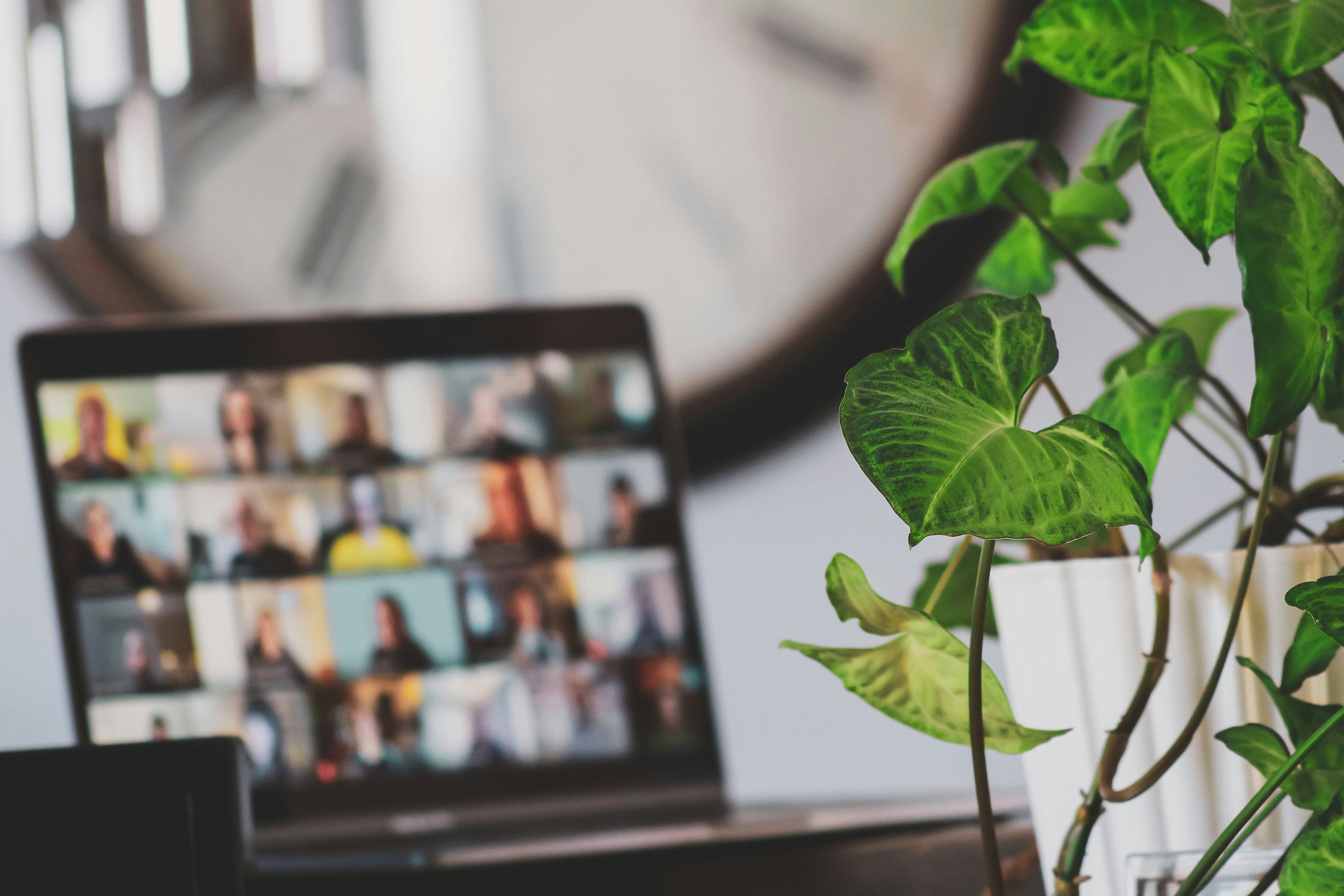 Portal para concesionarios con co-marketing: trabajo remoto sostenible