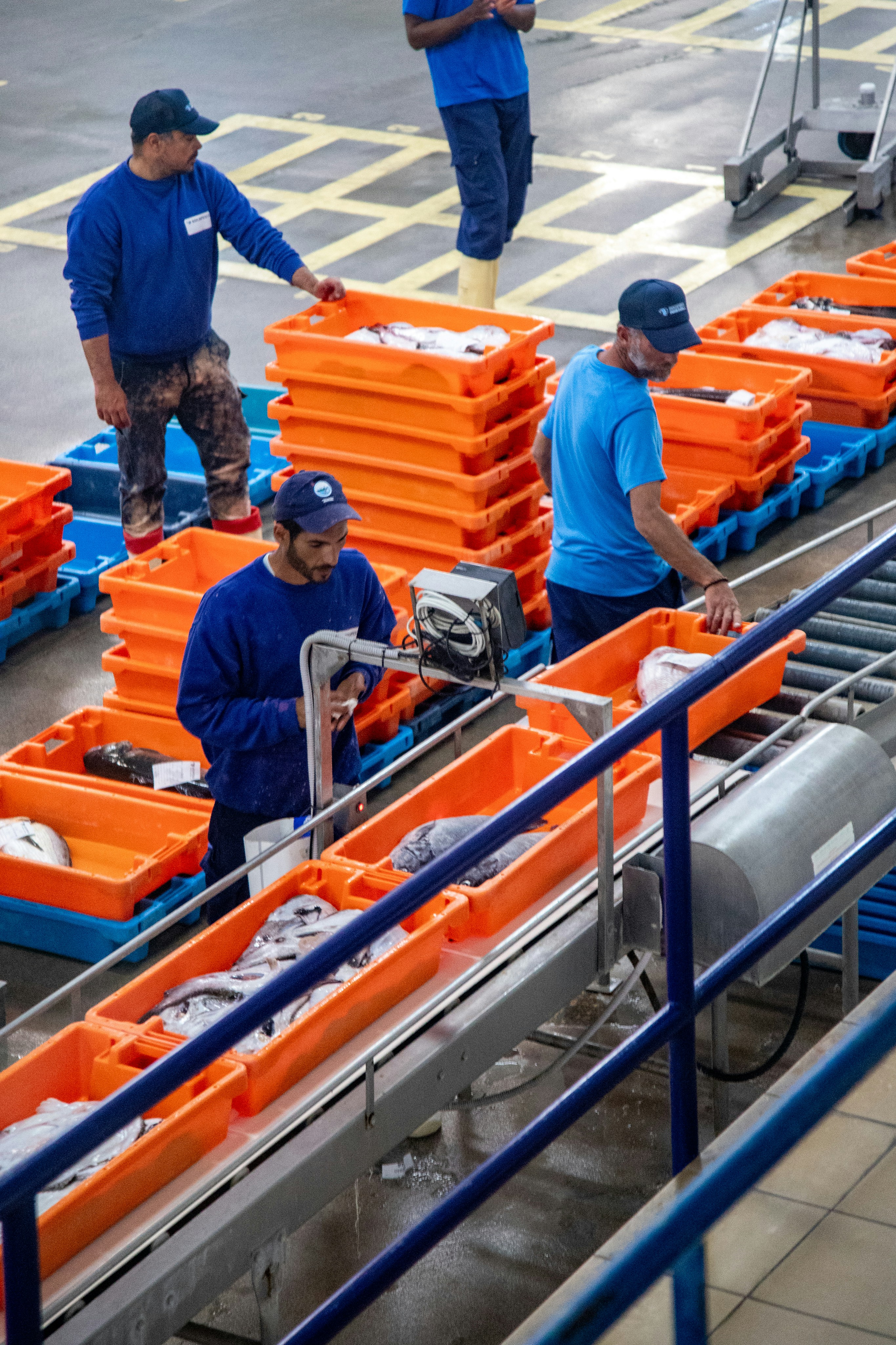 Portal de proveedores de confianza con flujo de trabajo de incorporación Partner 2026