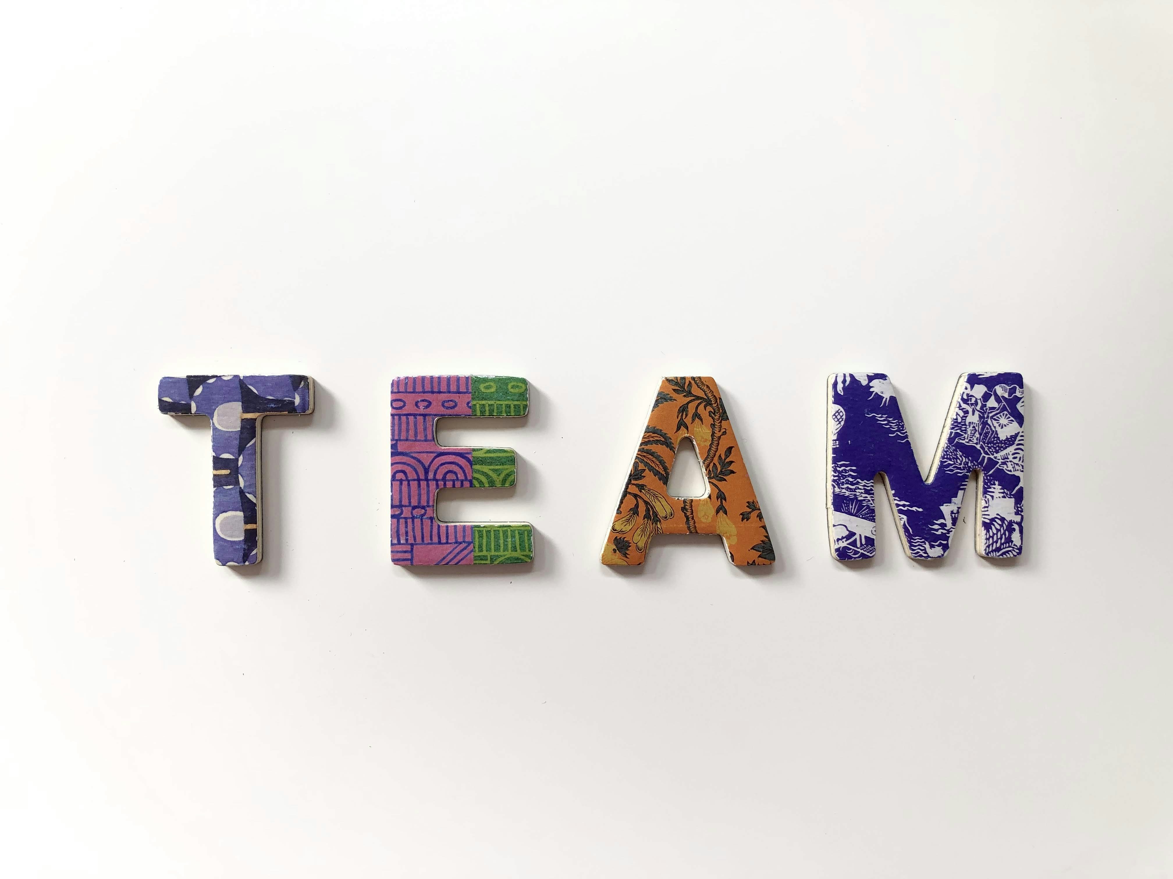 ¿Cómo puedo preparar a mi equipo para elegir un socio de software personalizado?