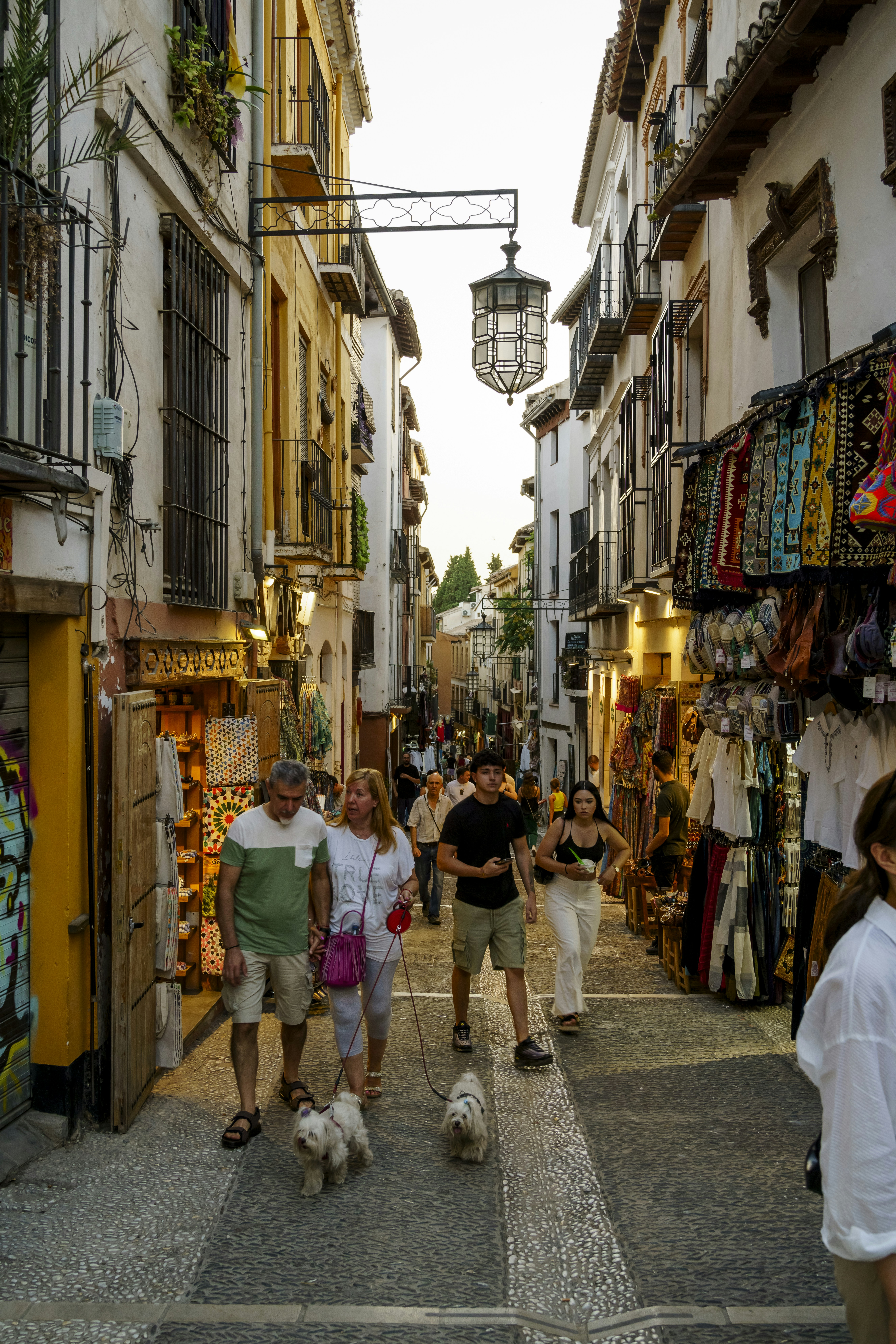 IA para la previsión de la demanda minorista en Granada