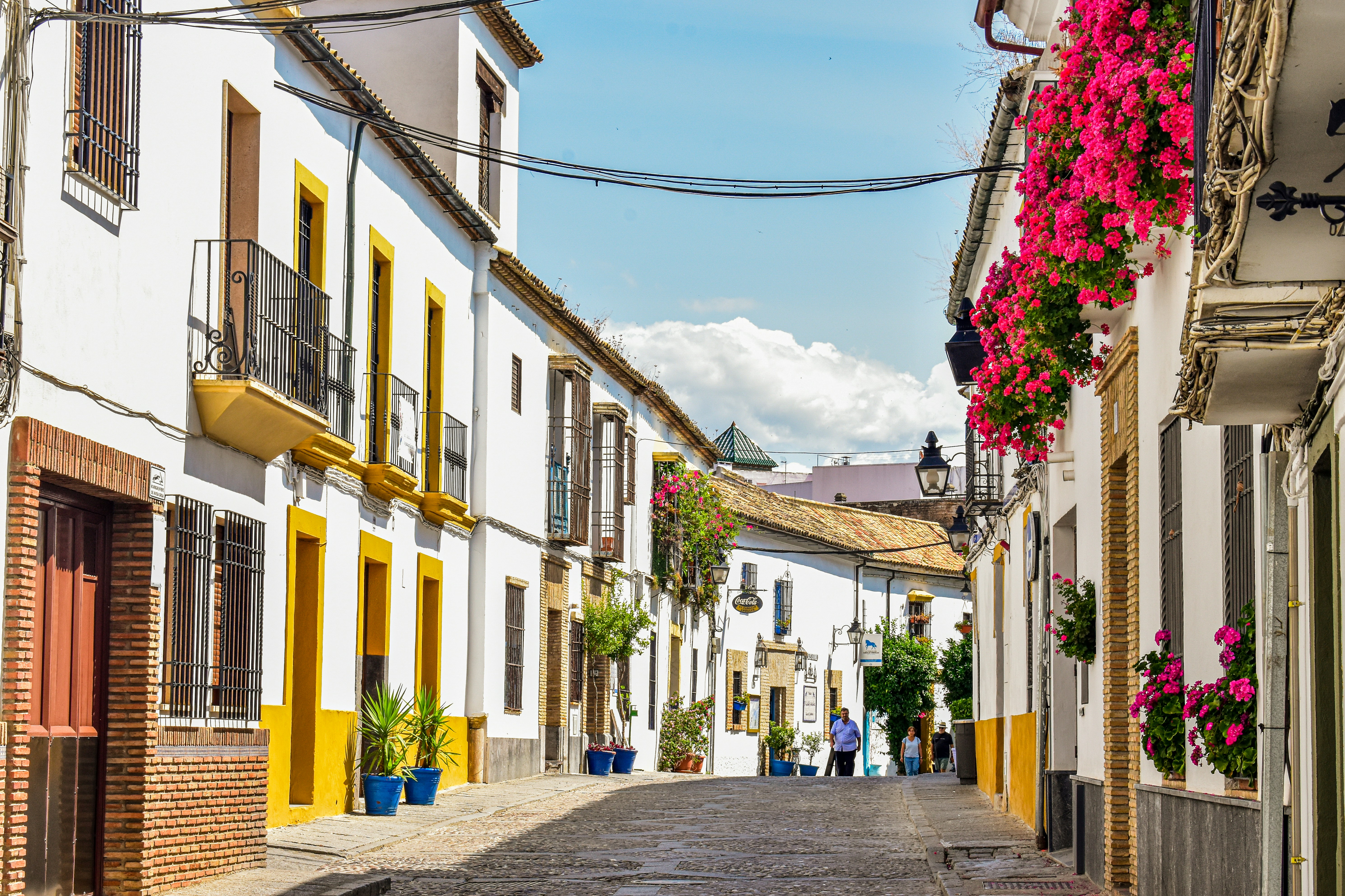 Top 20 Expertos en Generación de Contenido de Marketing de IA en Córdoba