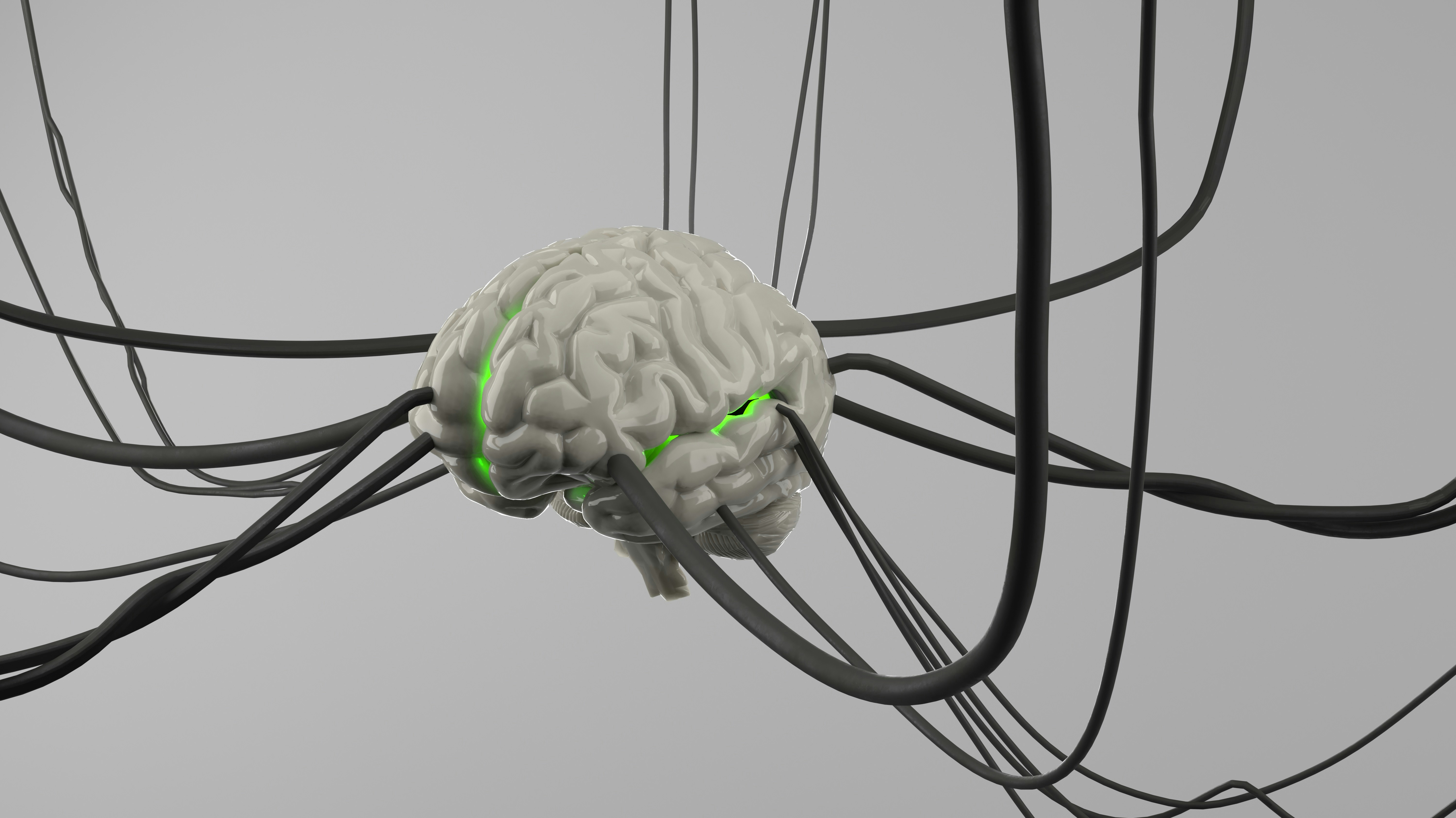 Leyes de escalado neural