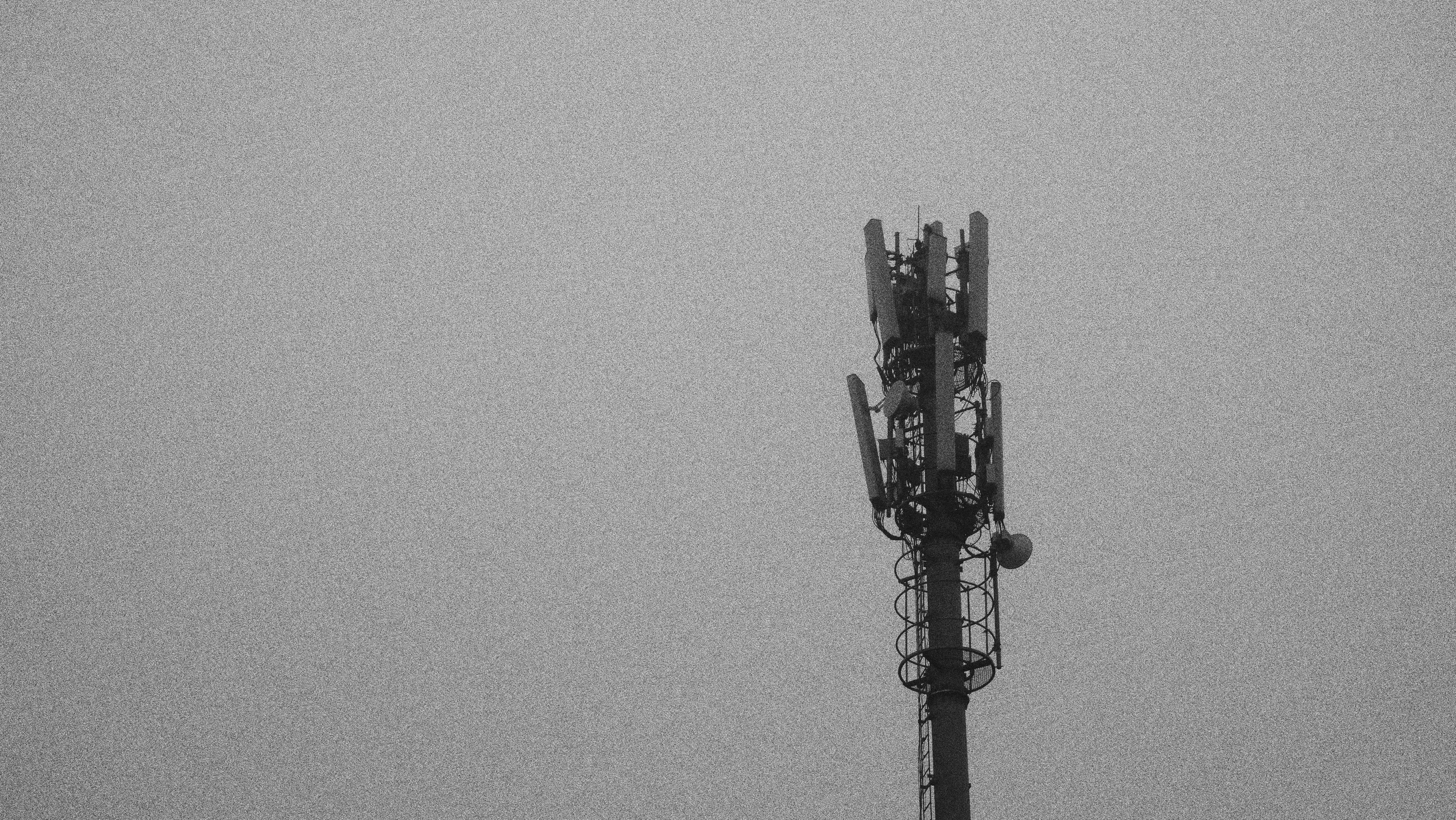 Uso inseguro de la aplicación Signal es parte de un problema más amplio en el Departamento de Defensa, sugiere informe del Senado