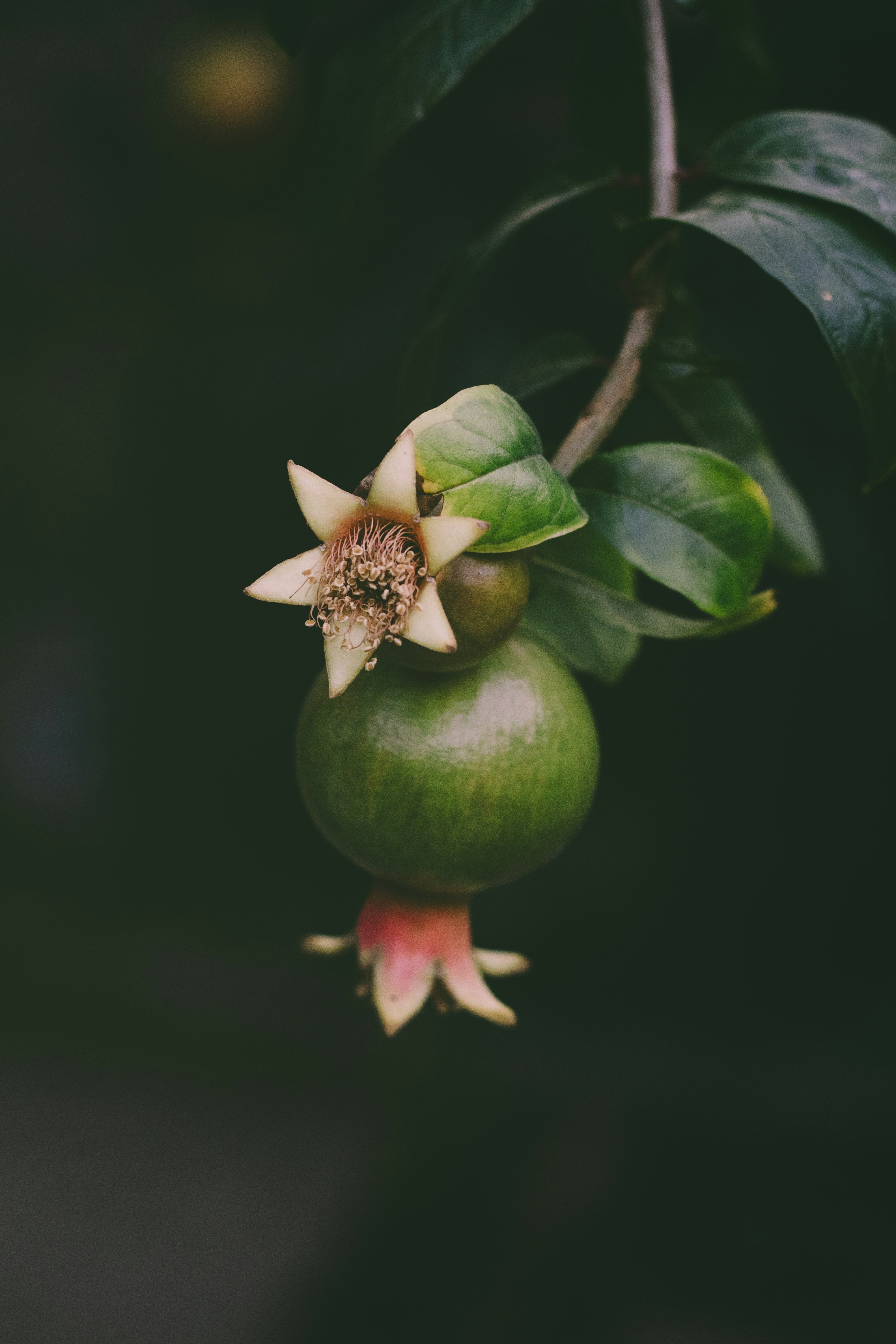 Proceso de incorporación de clientes actualizado oficialmente en Granada - Más de 15 años de experiencia 2026