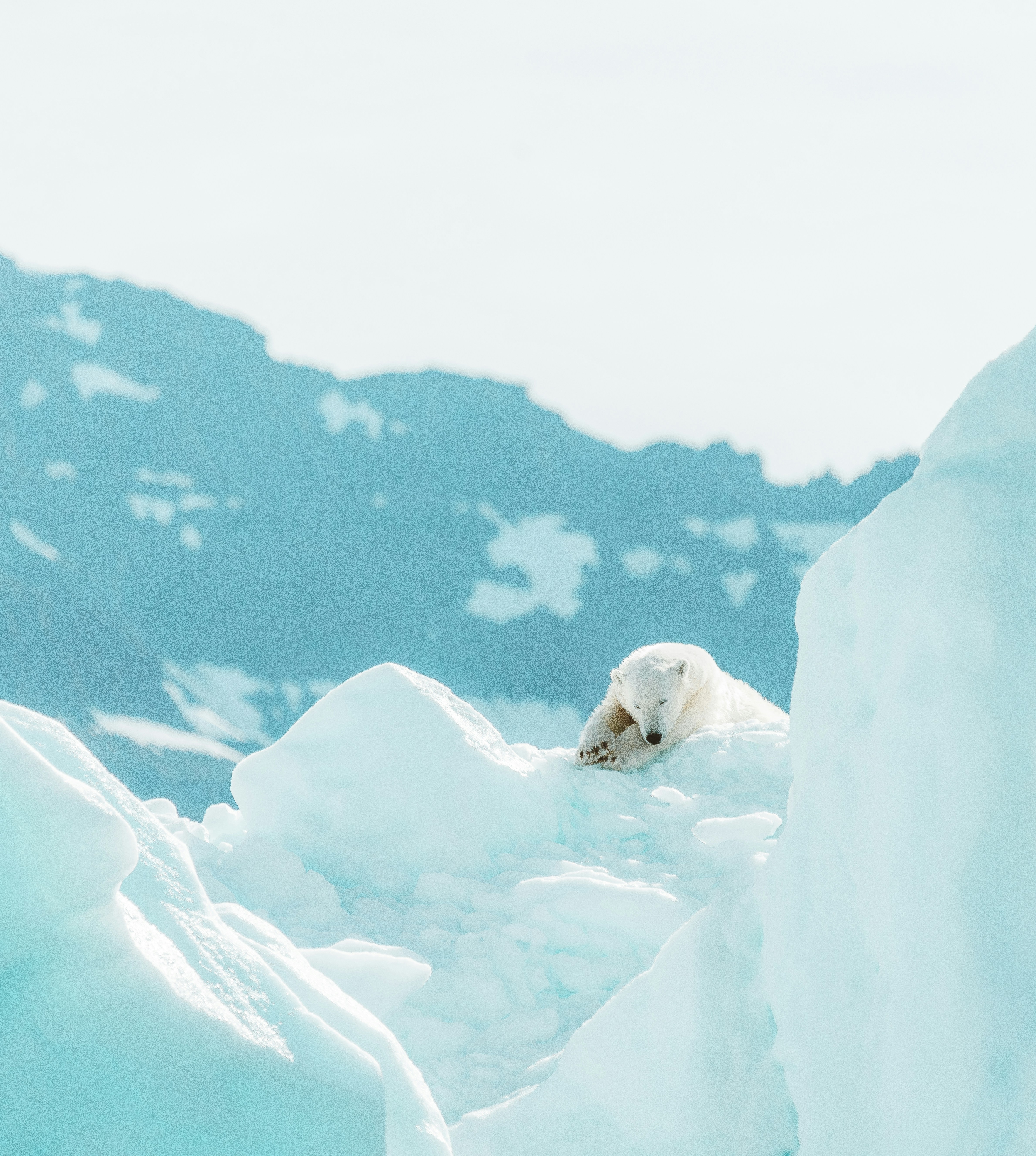 Profundidad Polar para Datos Potencialmente de Cola Pesada