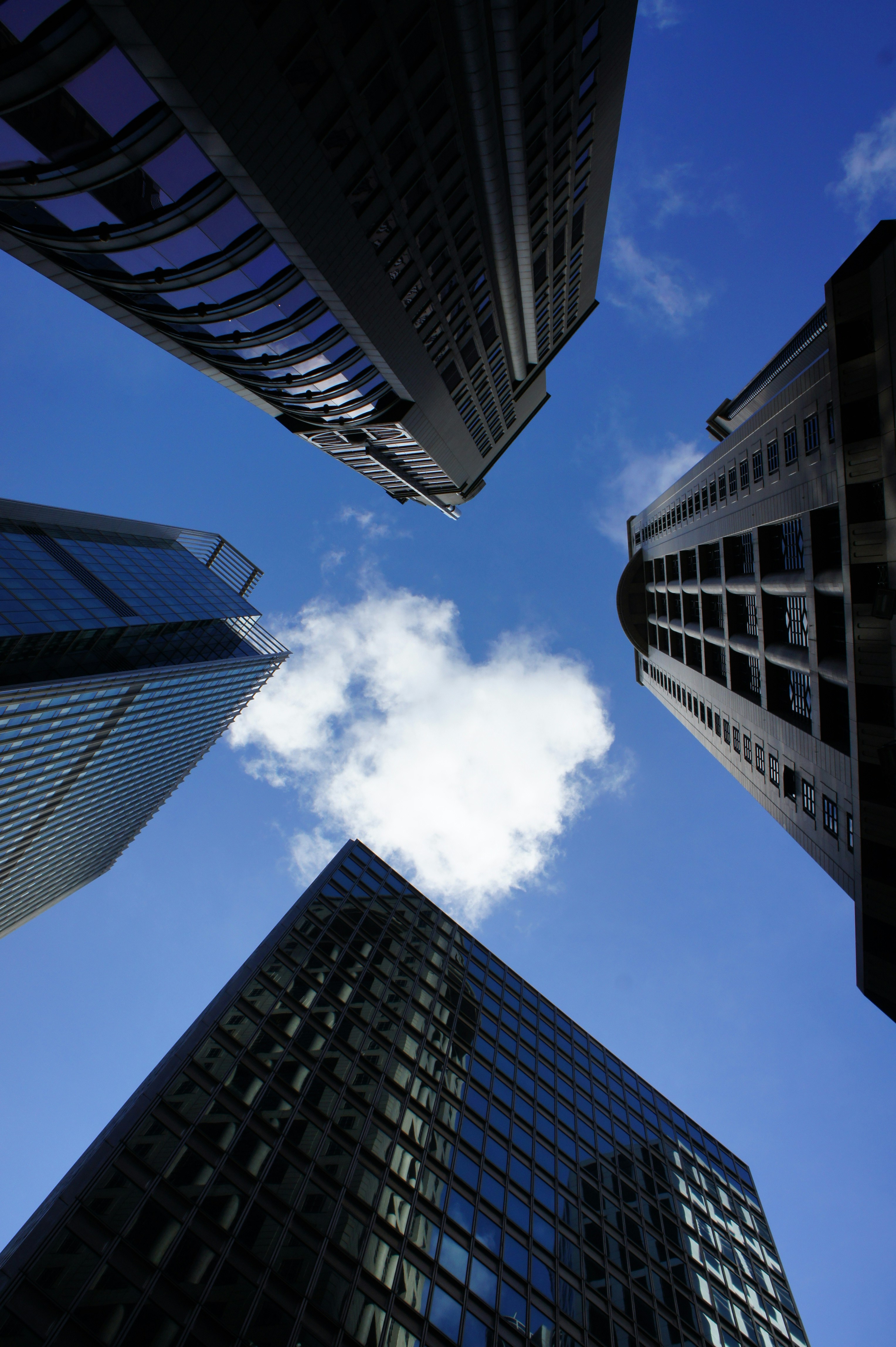 Programa 'cloud ERP' transformará las finanzas de Coles