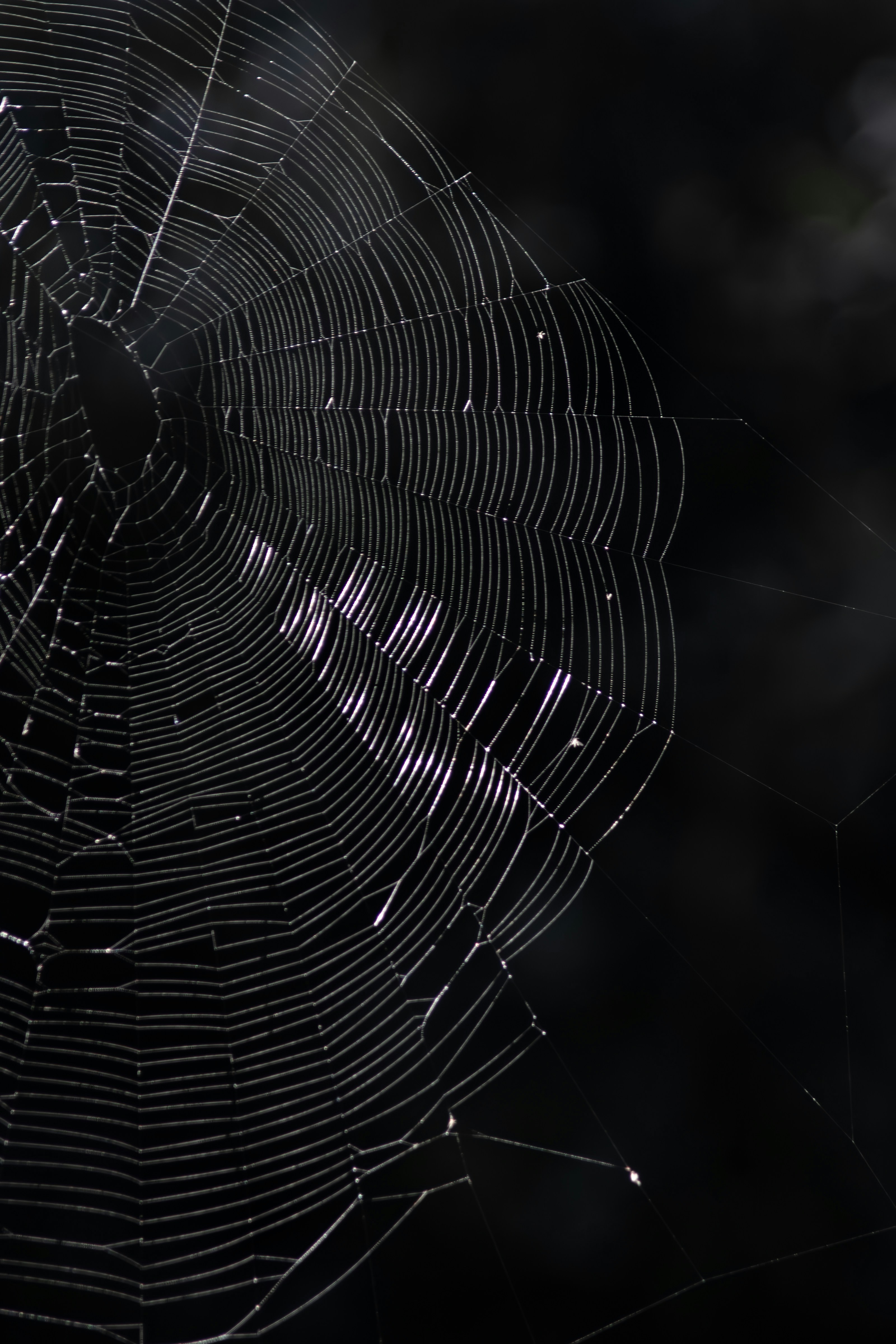 Construyendo una defensa en capas contra el web scraping