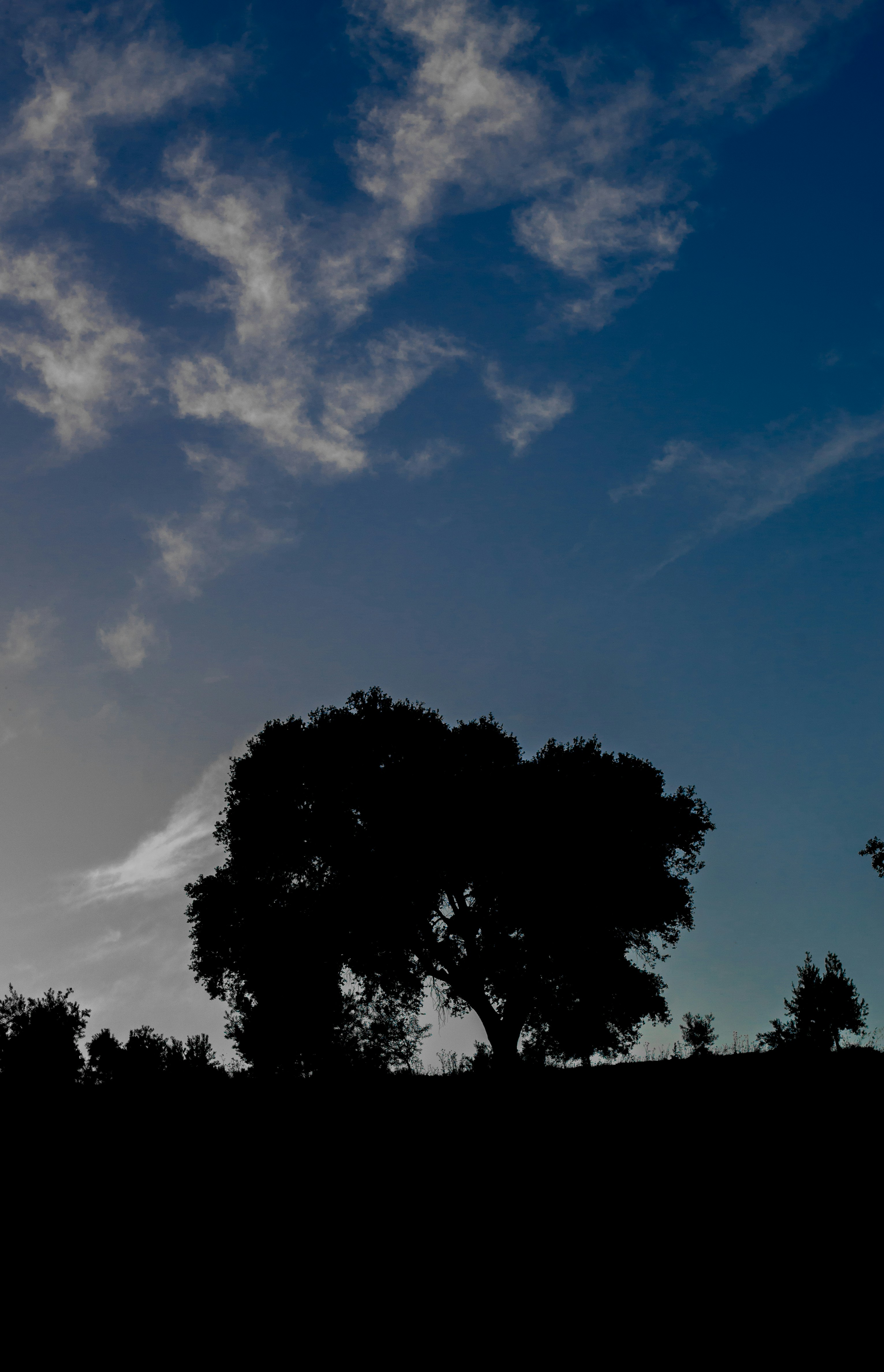 Top 20 Empresas para evaluación de seguridad en la nube para negocios en Las Palmas de Gran Canaria