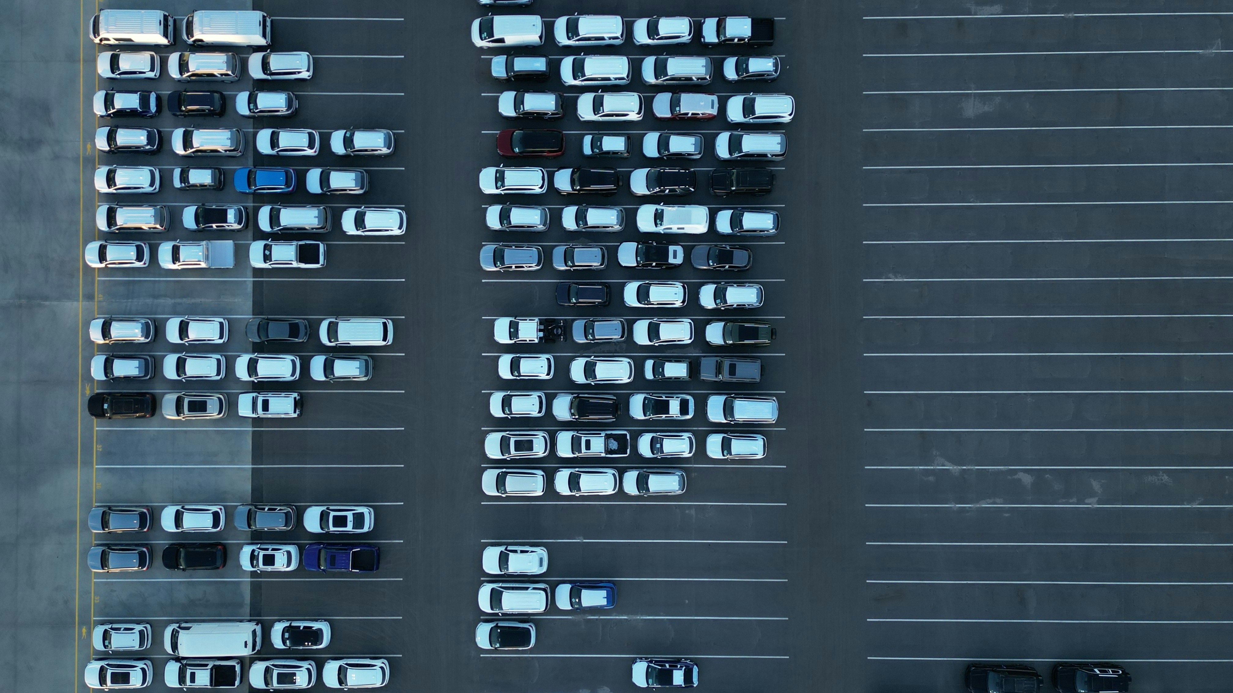 ¿Cómo puedo probar o demostrar software personalizado para la gestión de flotas antes de comprarlo?