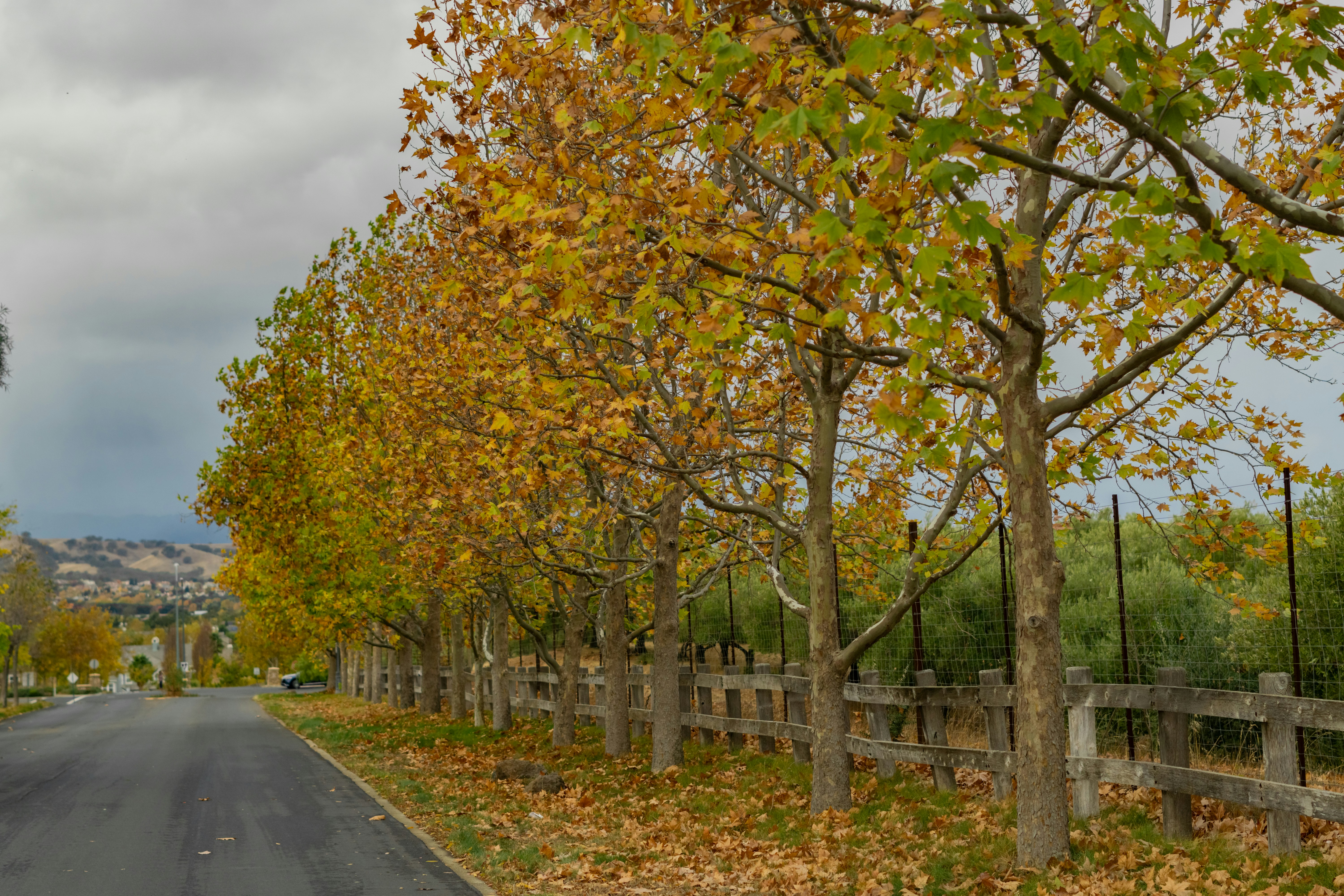 Cuando los PINNs fallan: Pseudo-paso temporal contra soluciones espurias
