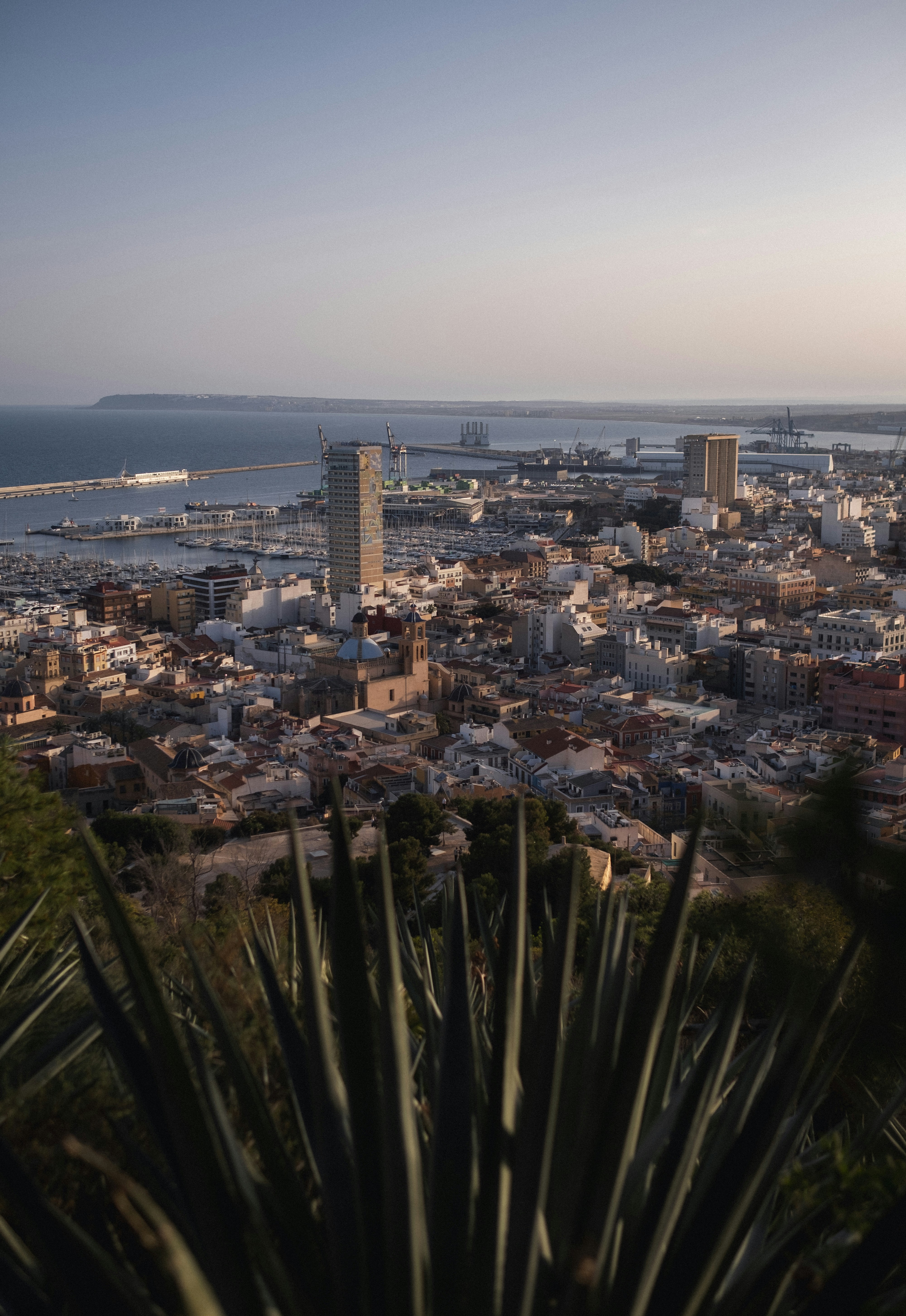 Las 5 mejores empresas de RPA con IA en Alicante