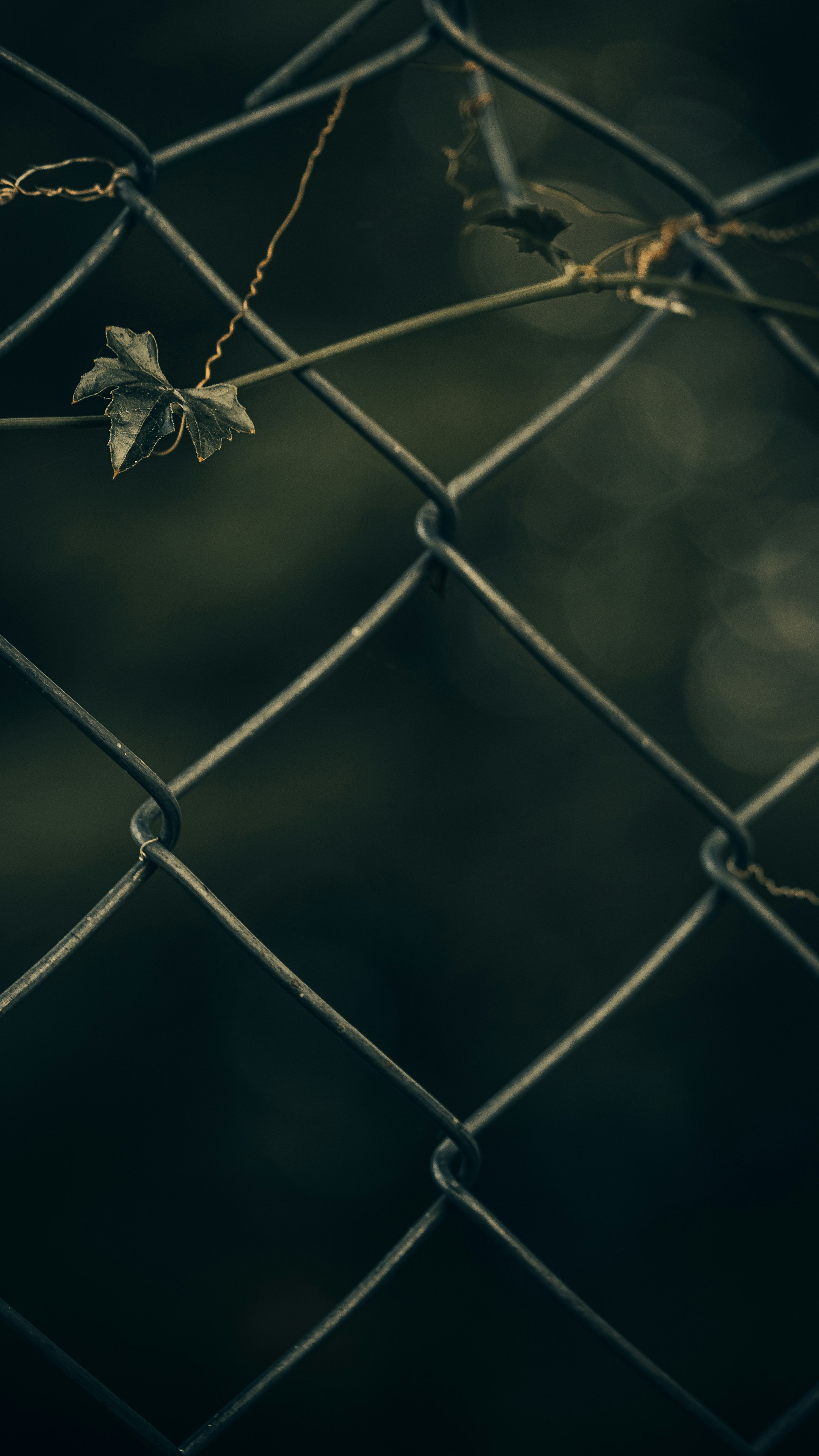 Qué nos enseñan las recientes violaciones de API - y por qué ZeroThreat se convirtió en la solución preferida