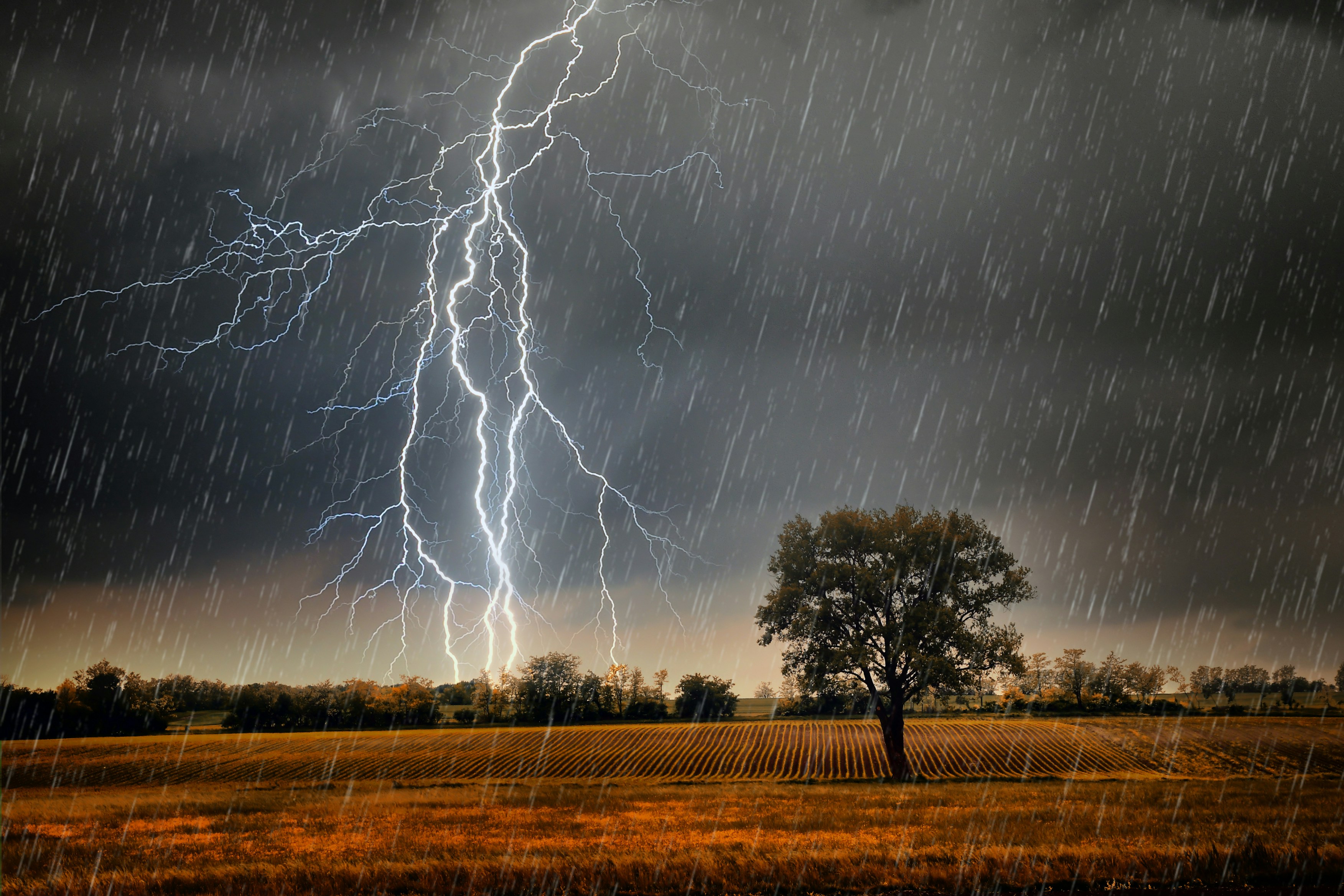 Reconstrucción Bayesiana del Campo de Lluvia Utilizando Enlaces de Microondas Comerciales y Priors de Modelo de Difusión