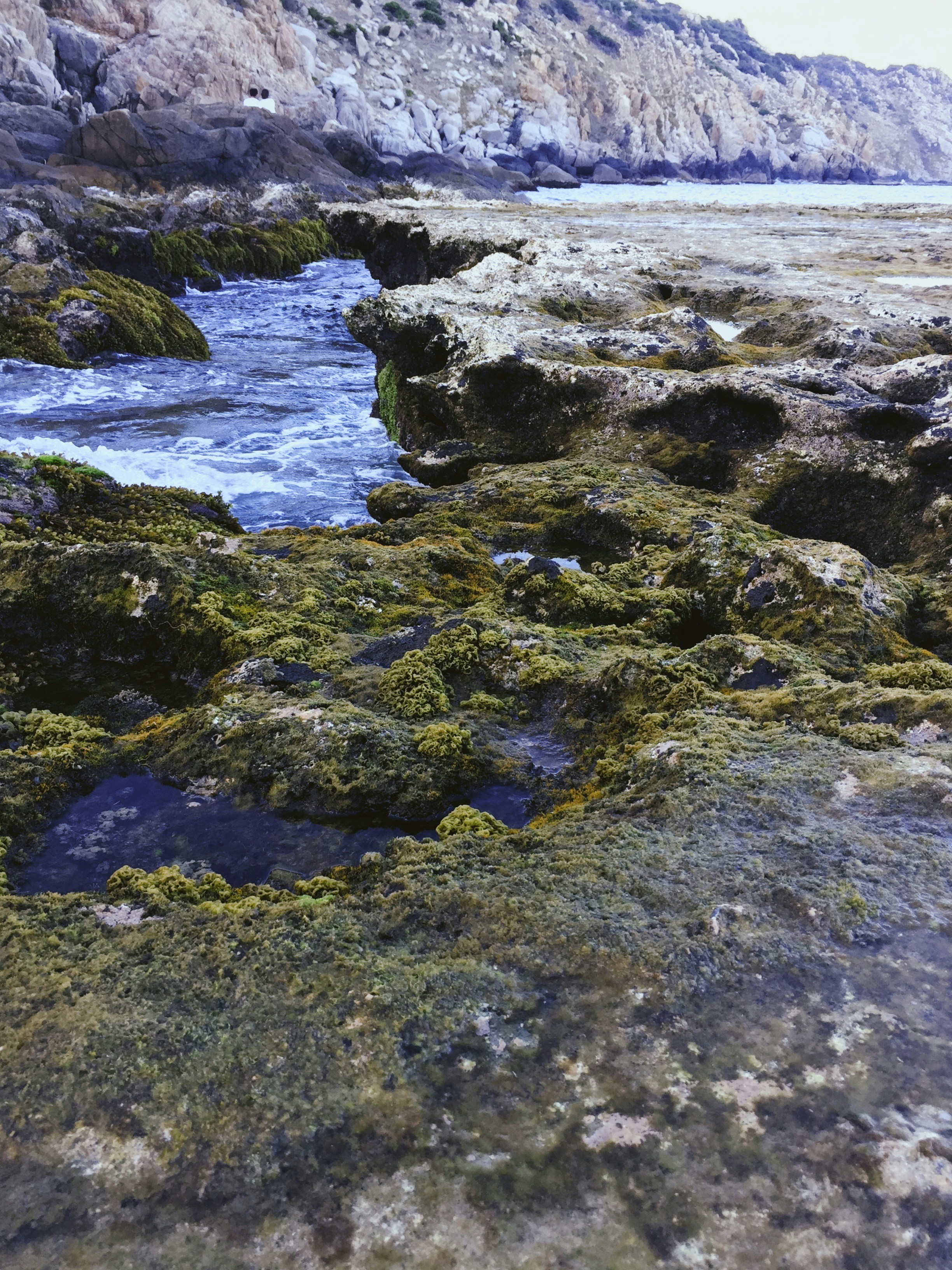 Recuperación adaptable a la región de parámetros biogeoquímicos costeros a partir de la reflectancia de teledetección hiperespectral cercana a la superficie mediante metaaprendizaje consciente de la física