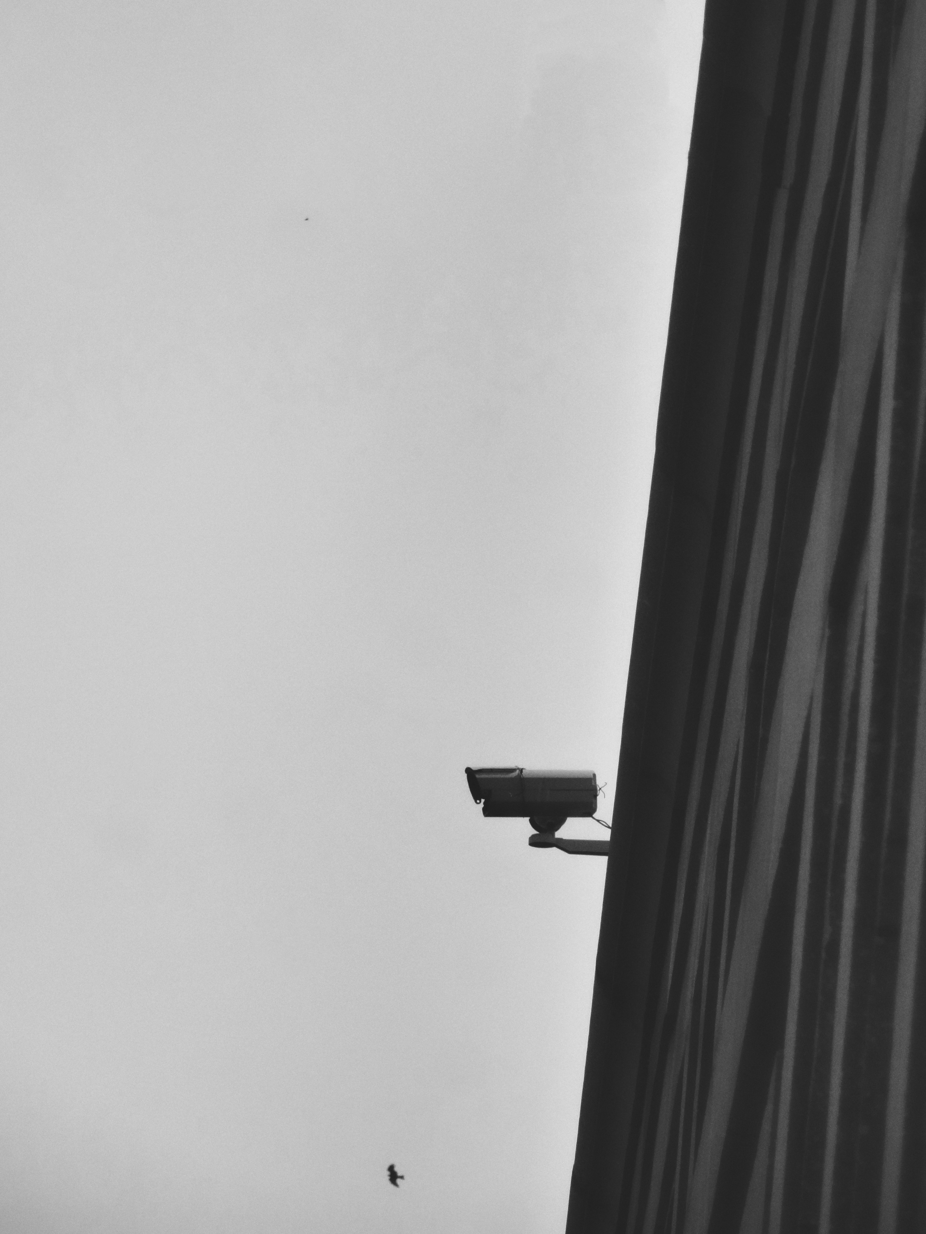 Equipo de vigilancia social en redes de medios 24/7 que desea construir ICE