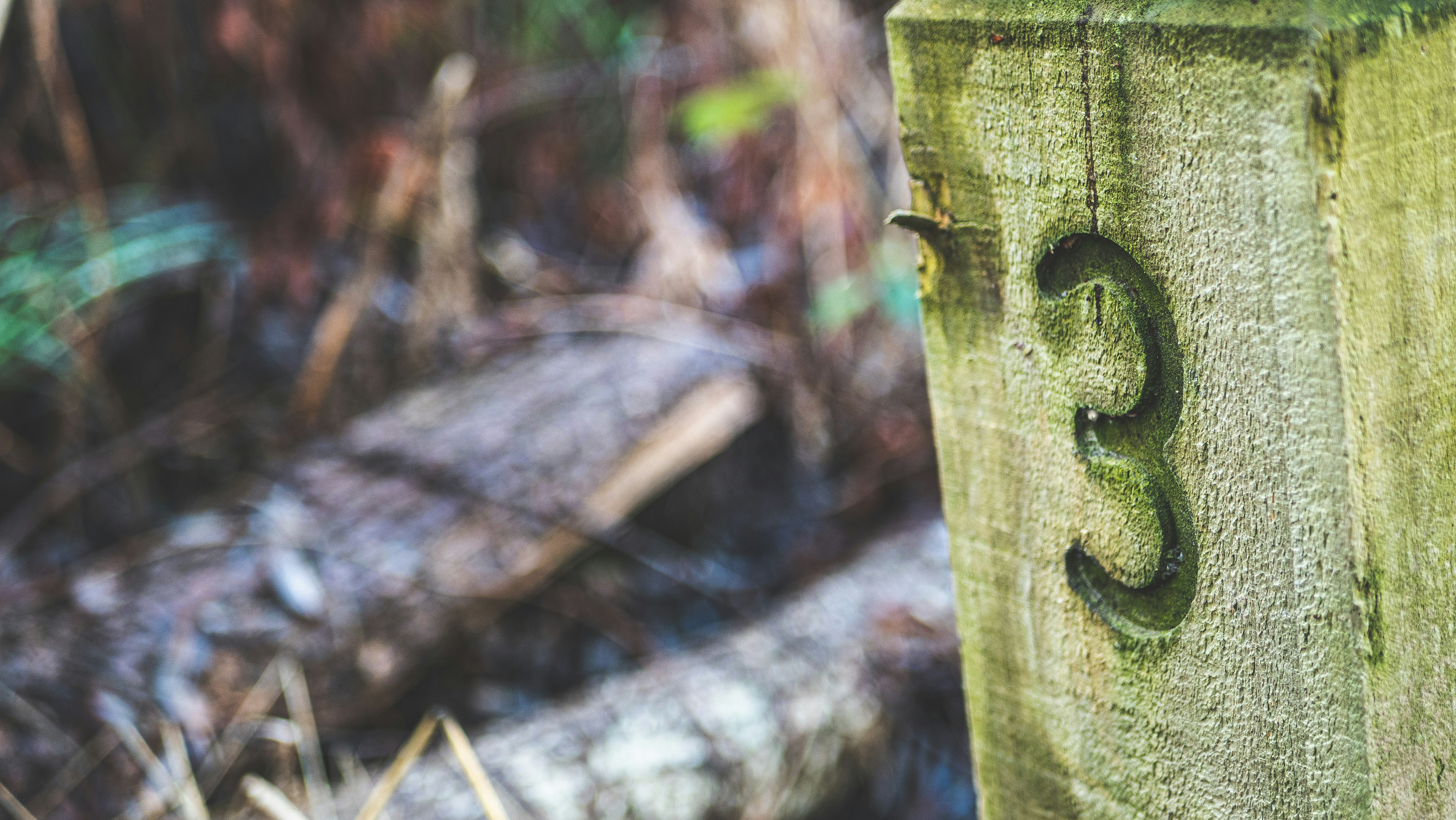 Los 3 mejores expertos en reemplazar el buzón compartido con triaje inteligente en Barcelona 2026