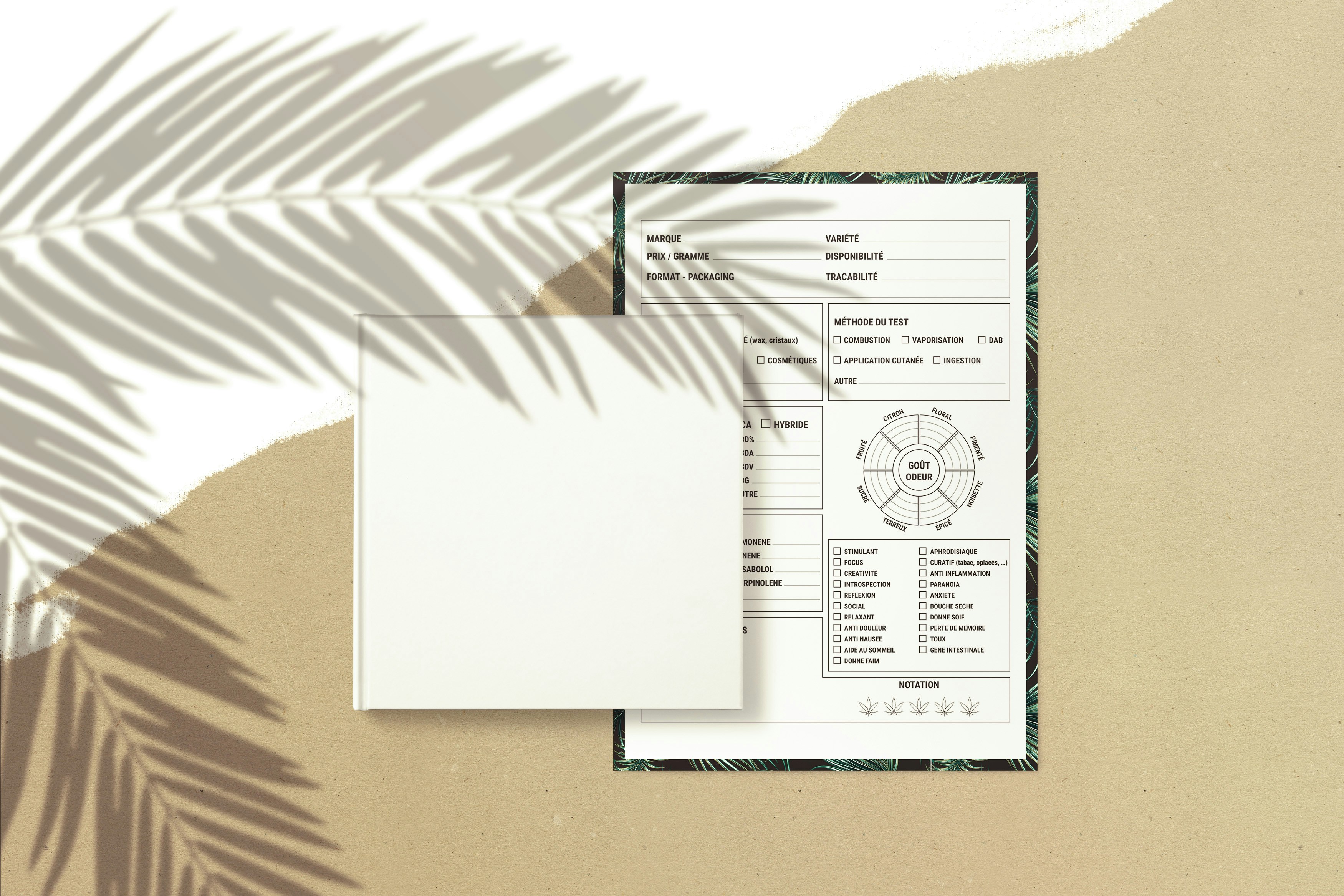 reemplazar la presentación de informes manuales con paneles en Palma: Q&A 2026