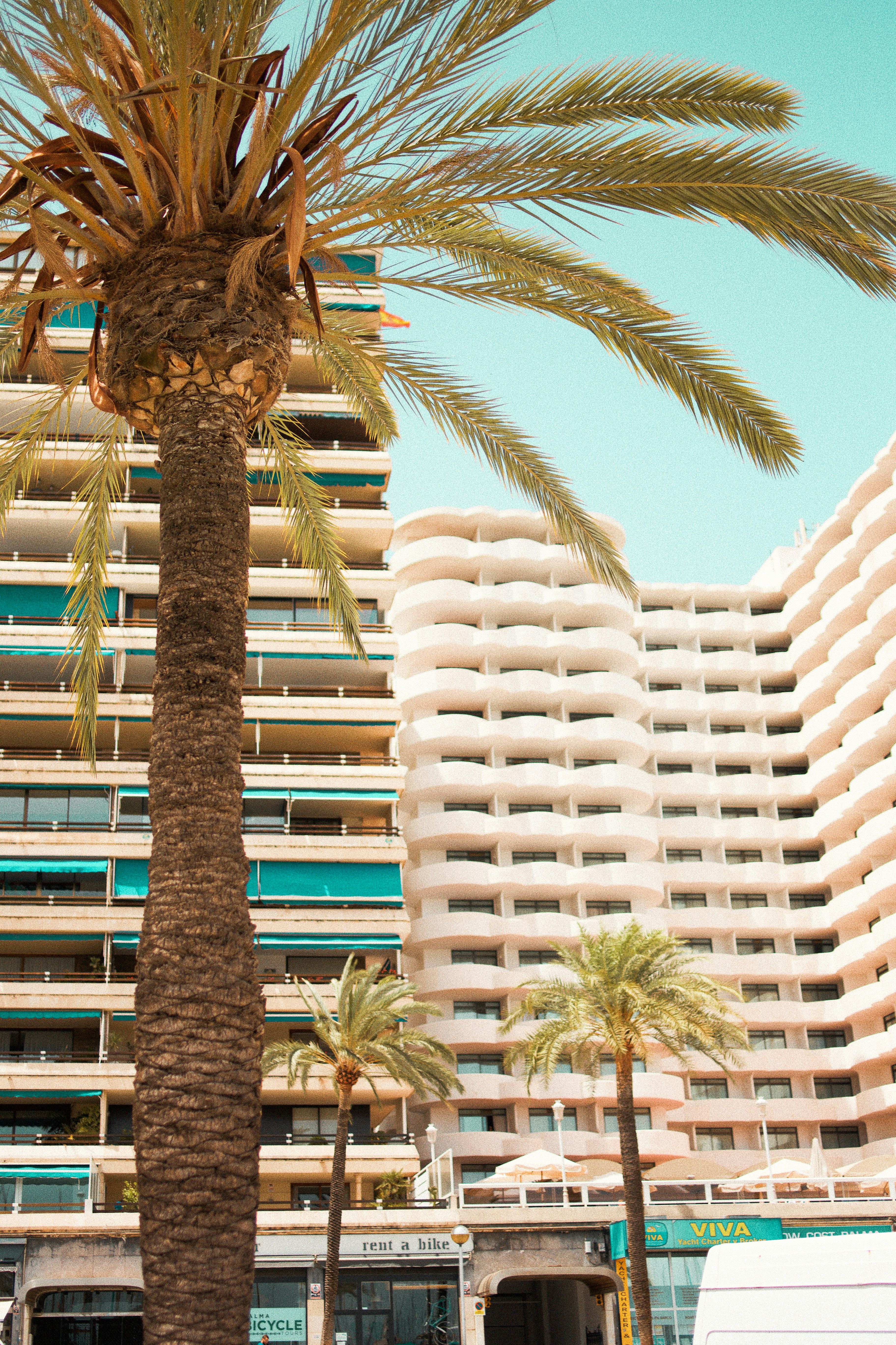 Servicios profesionales de reemplazo de informes manuales por paneles de control en Palma