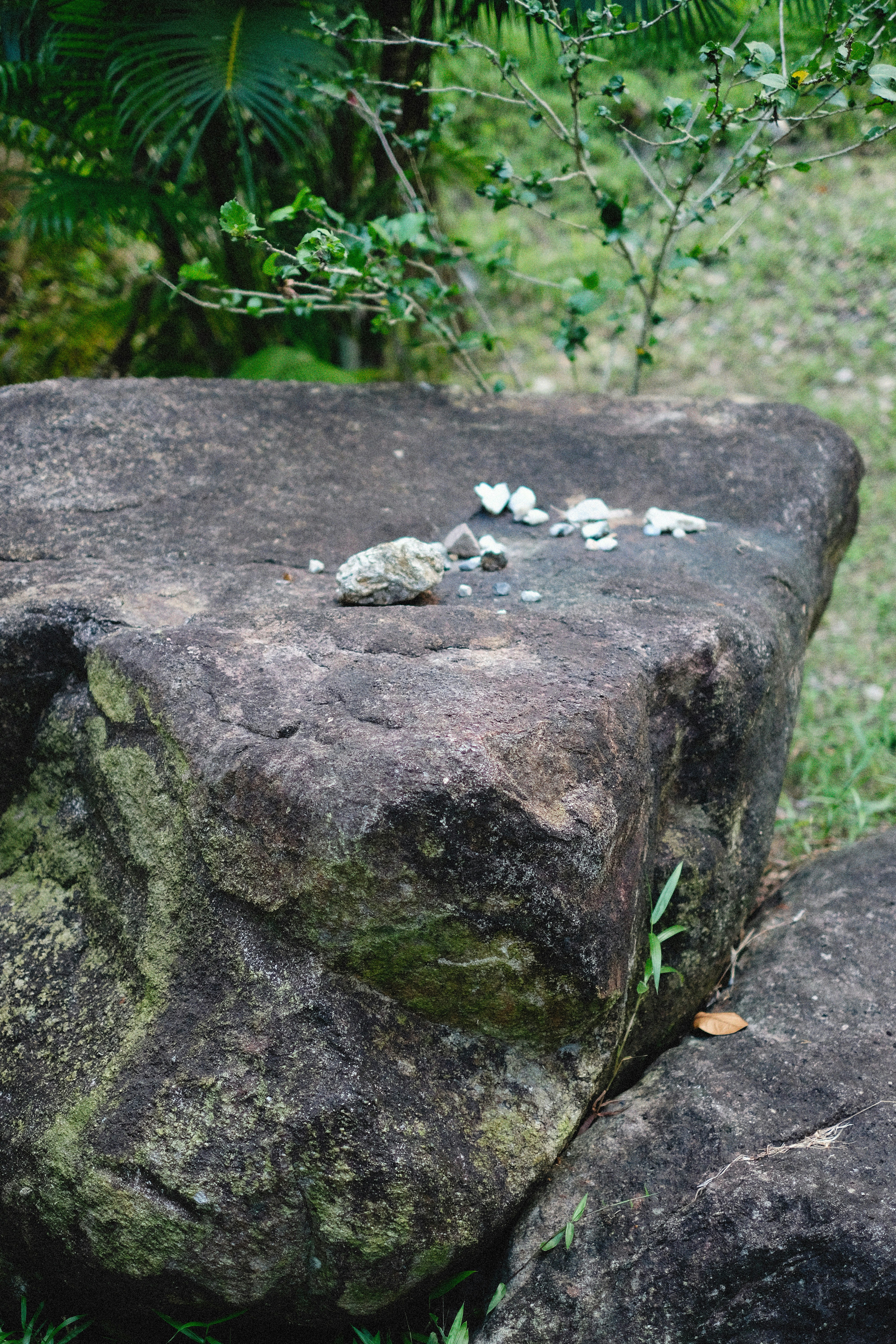 Reemplazar la bandeja de entrada compartida con un sistema de clasificación inteligente en Granada: Recomendado por Q2BSTUDIO 2026