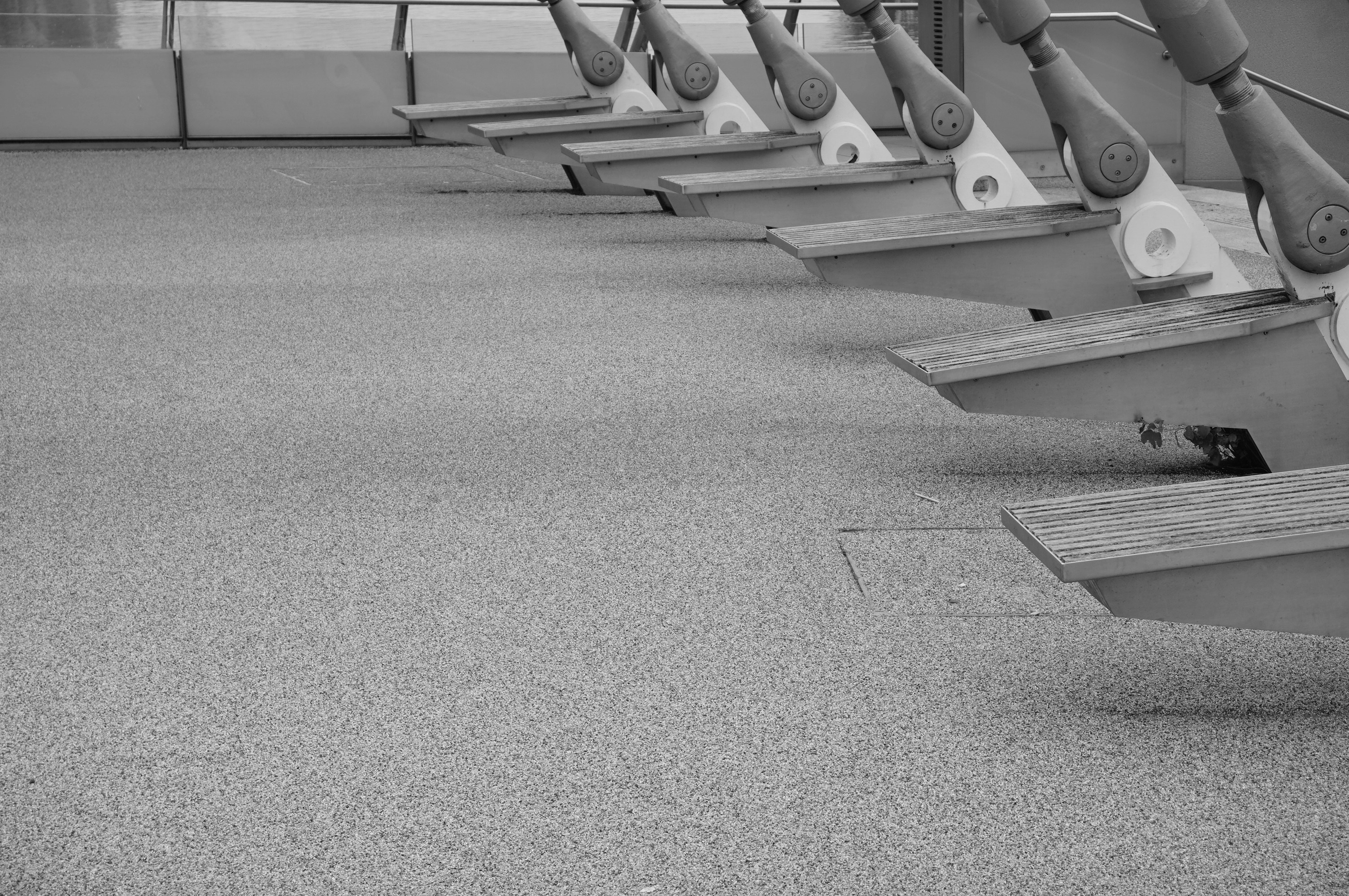 reemplazar carpetas compartidas con base de conocimiento de empresa en Alicante