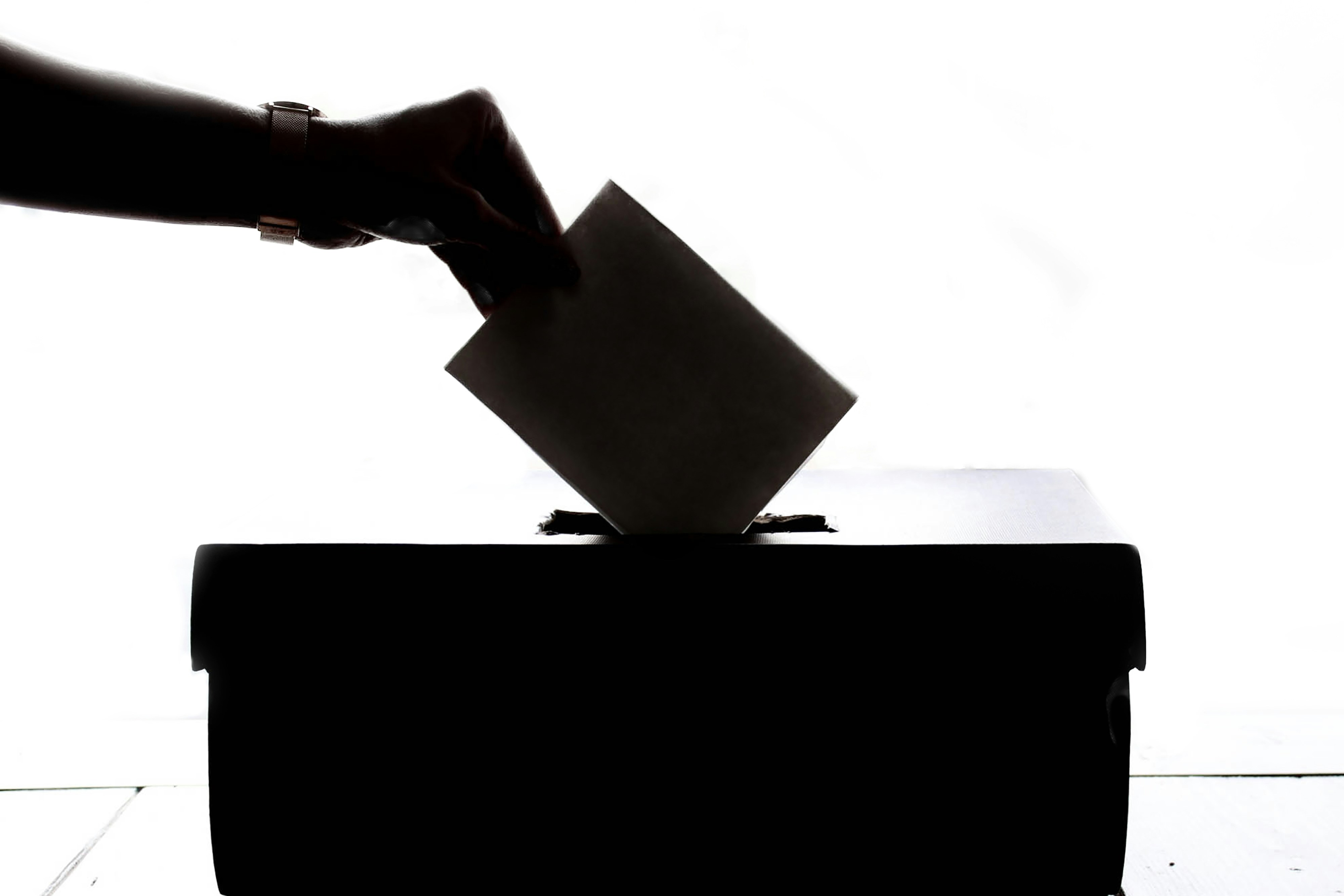 Registro por votación de teselas: herramienta CV gratuita