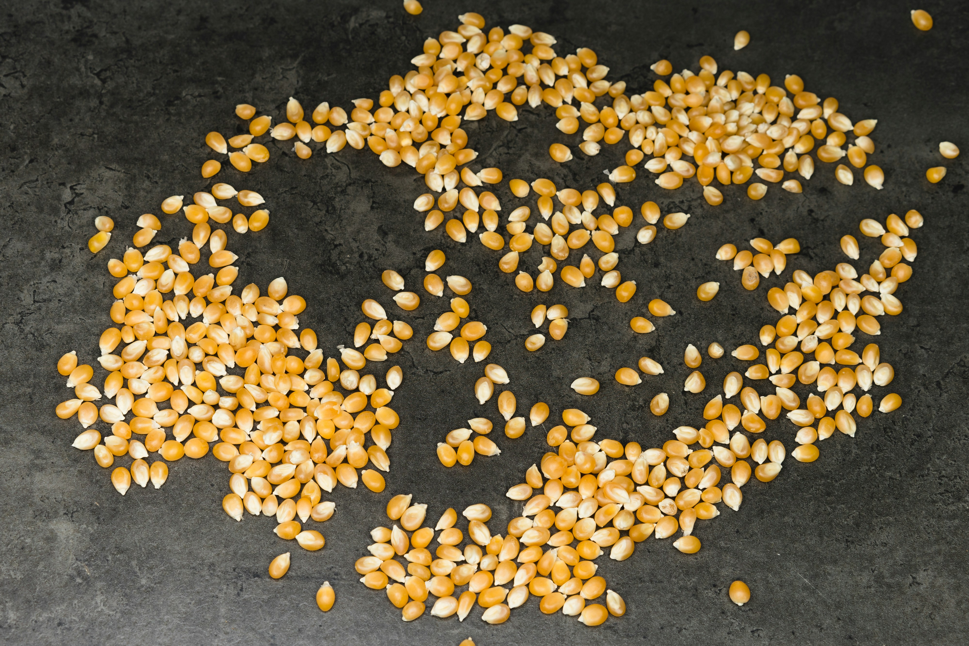 Regresión Ridge con Kernel de Gran Dimensionalidad: Extensión a Kernels Producto