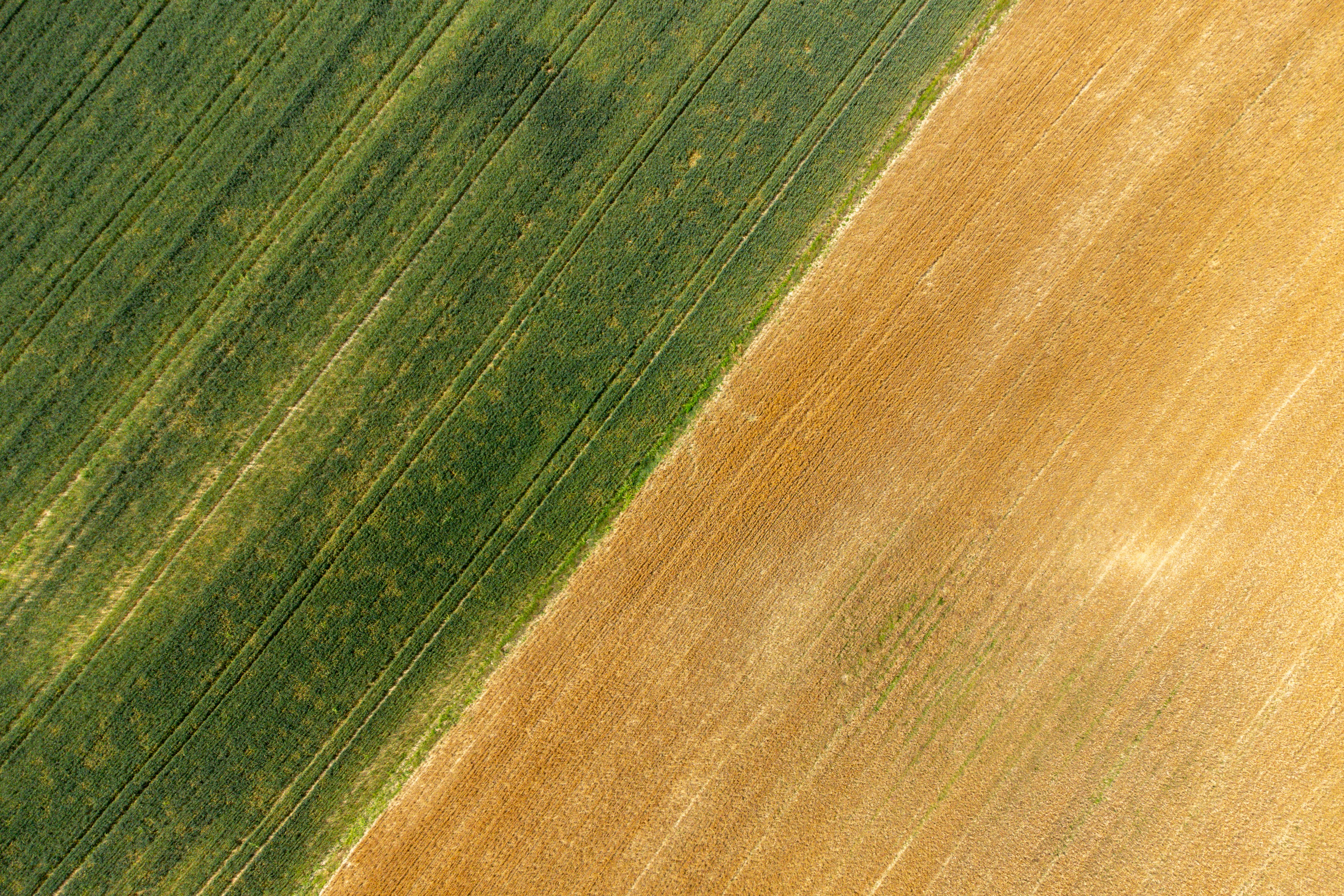 Regularización de Gradiente Residual de Diferencias Finitas Auxiliares para PINNs