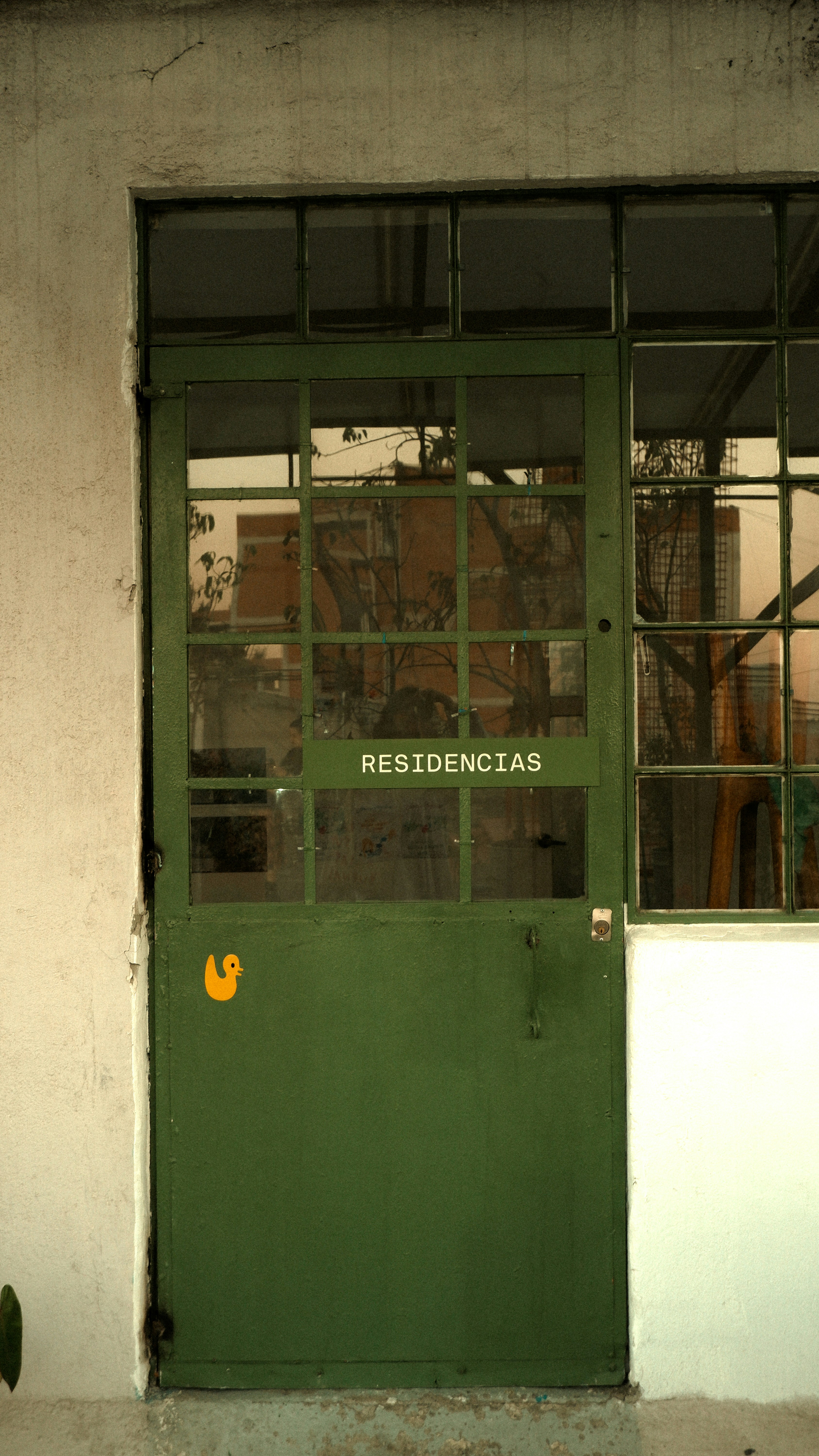 ¿El portal de miembros con automatización de renovaciones ayuda a reducir el error humano?