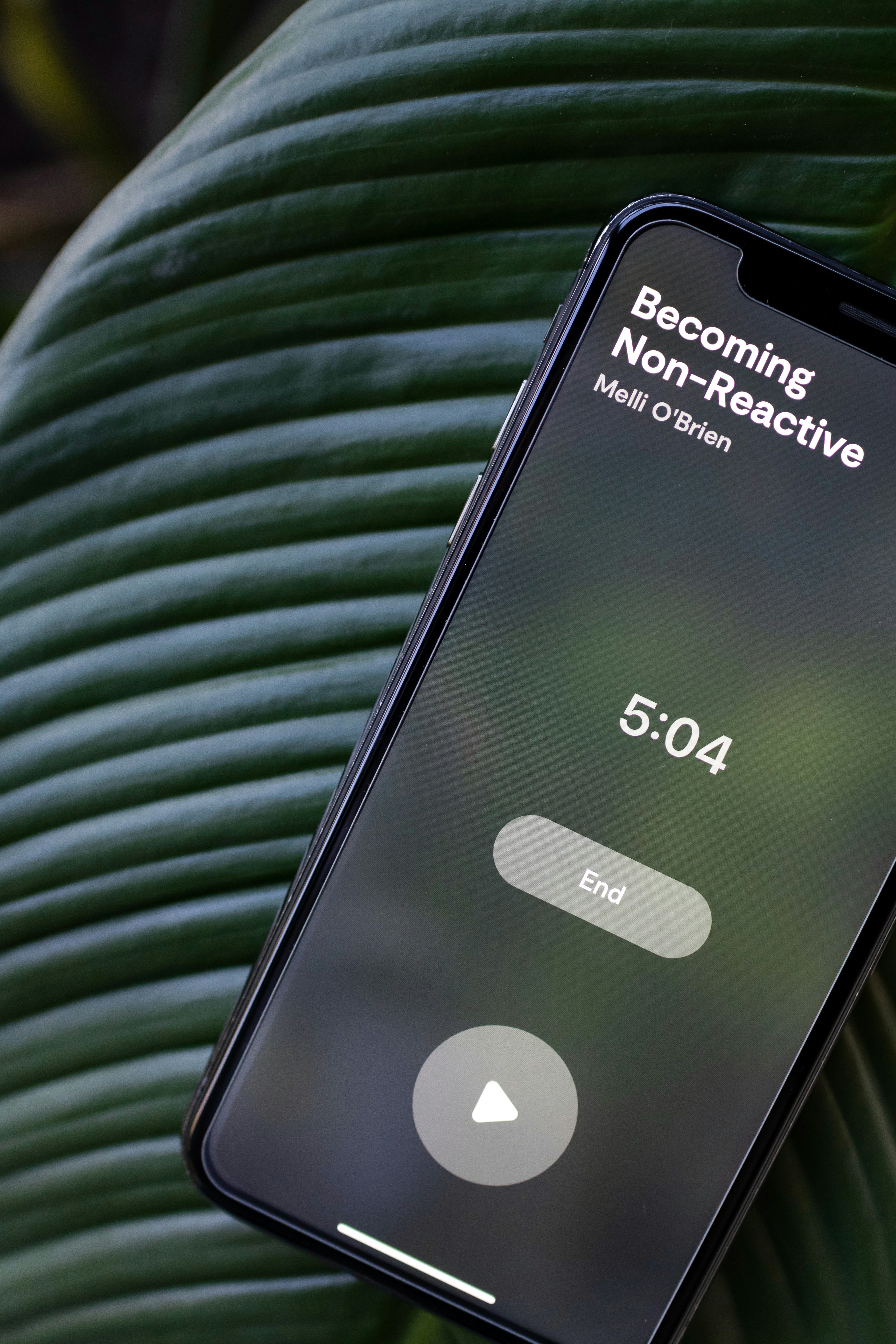 Función de reserva de nombre de usuario de WhatsApp próximamente para Android iOS
